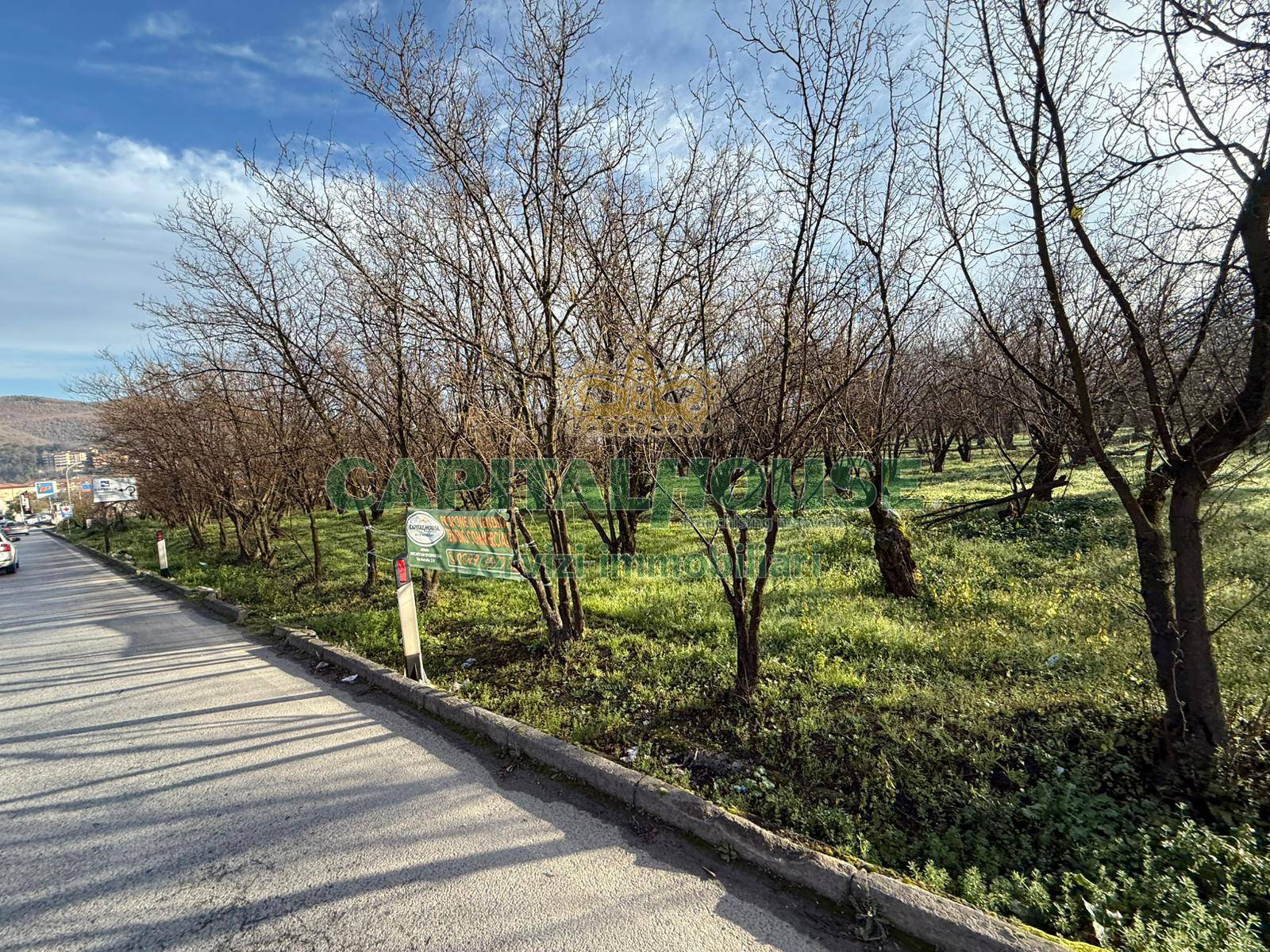 Terreno Commerciale in vendita a Mercato San Severino