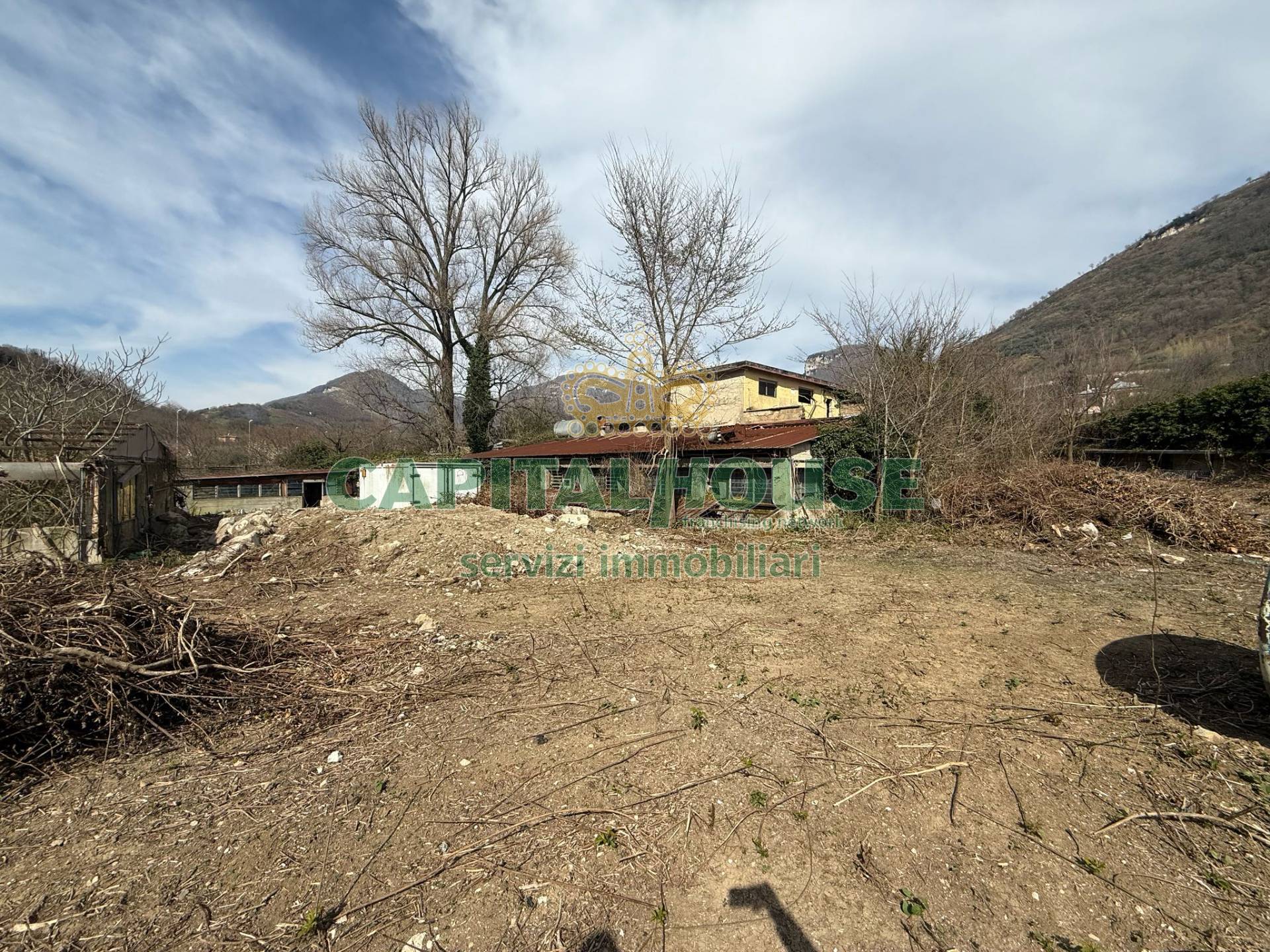 immagine annuncio 5 di 9