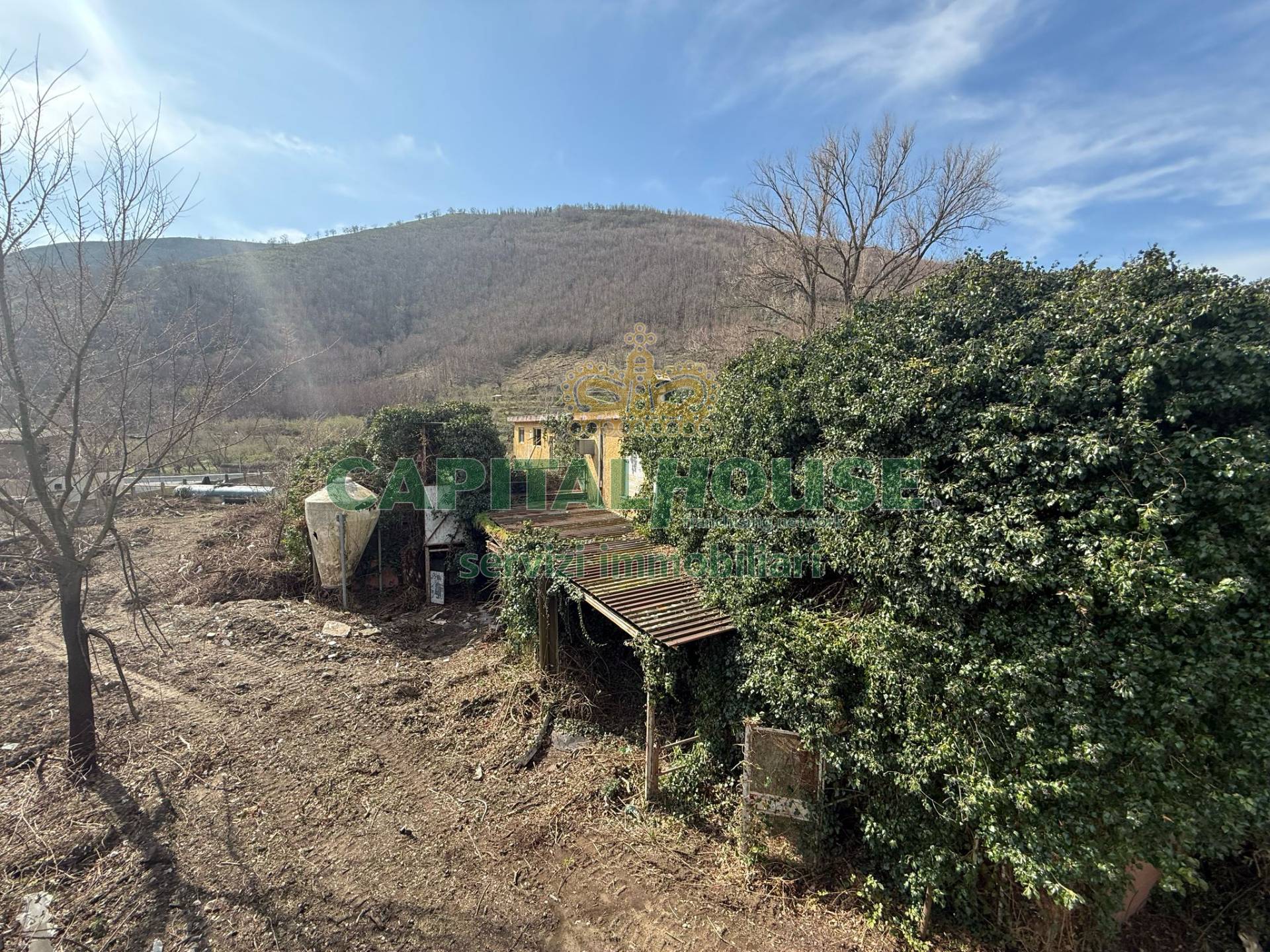 immagine annuncio 8 di 9