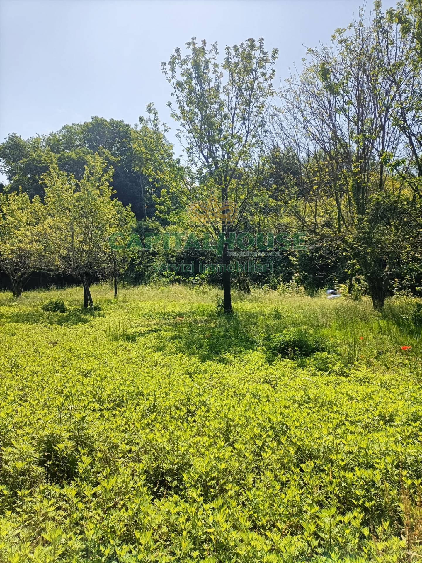 Terreno agricolo in vendita a Mercato San Severino