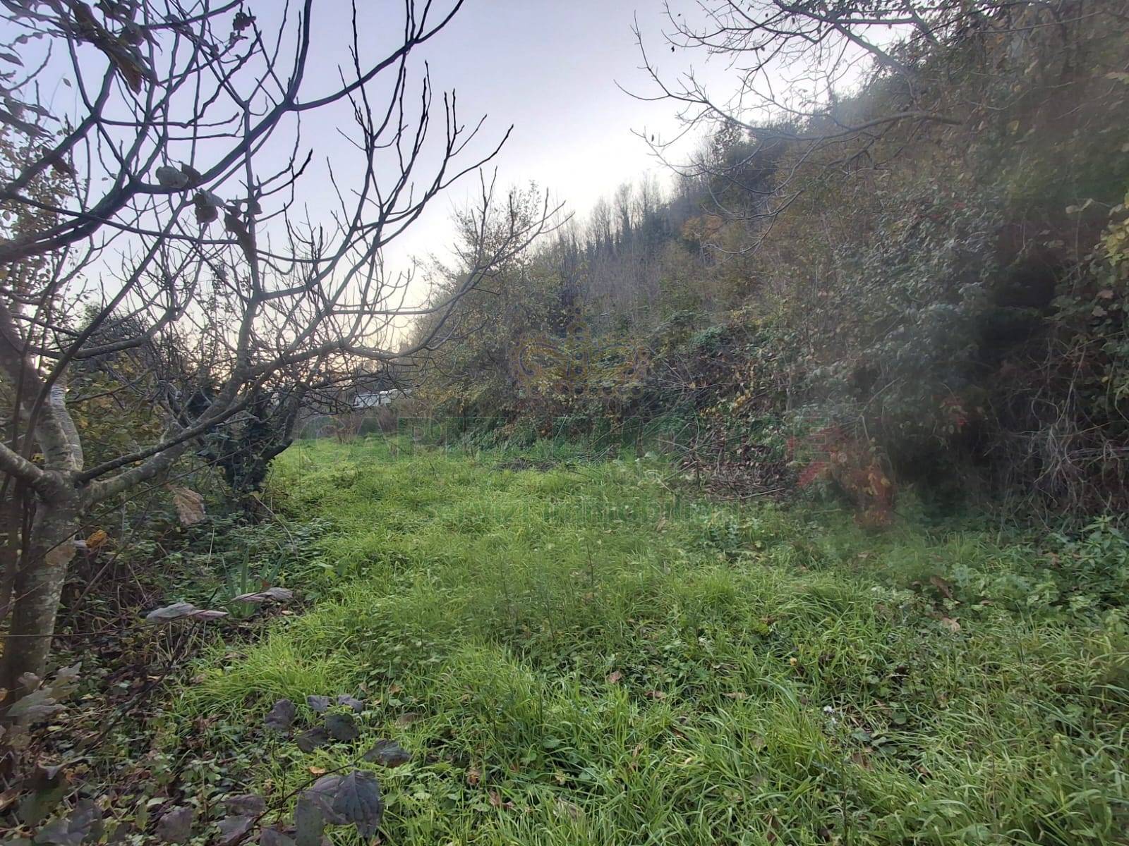 Terreno agricolo in vendita a Mercato San Severino