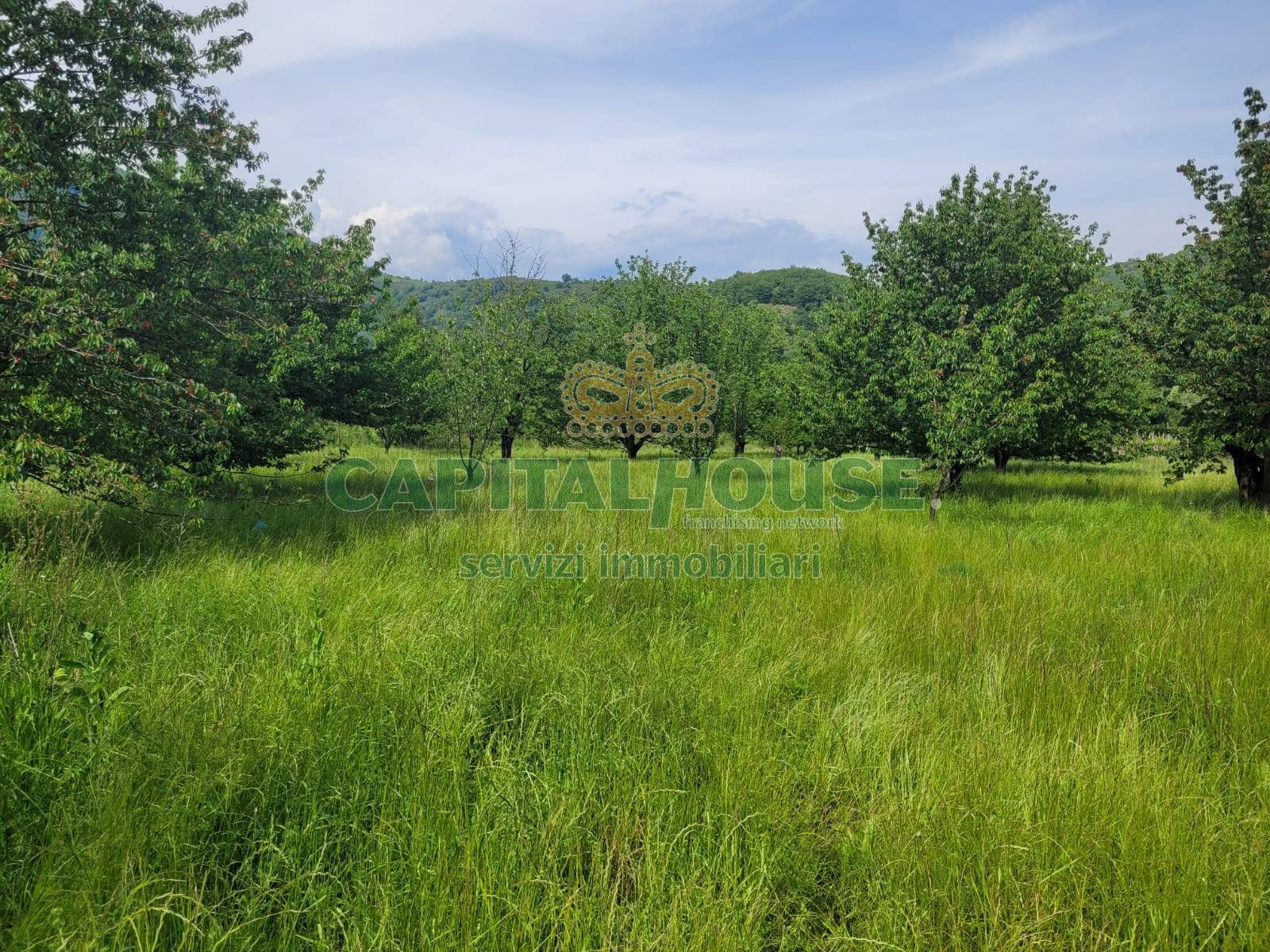 Terreno agricolo in vendita a Mercato San Severino