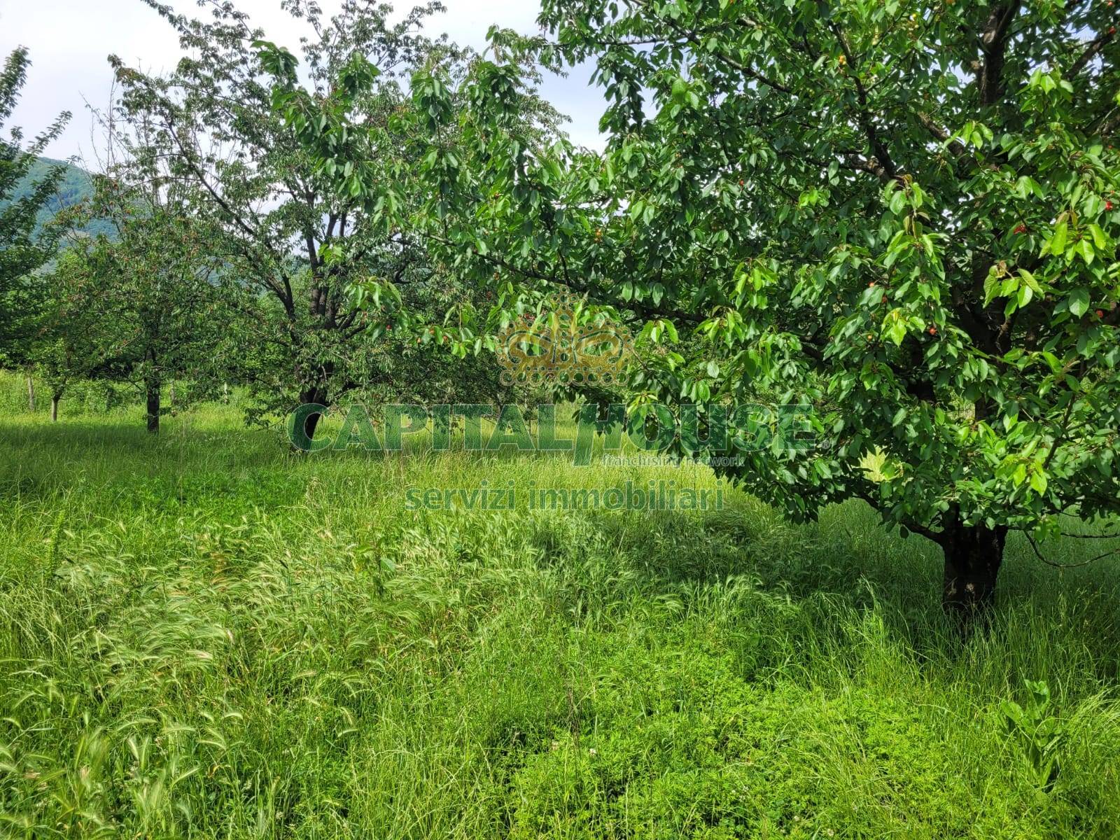 Terreno agricolo in vendita a Mercato San Severino