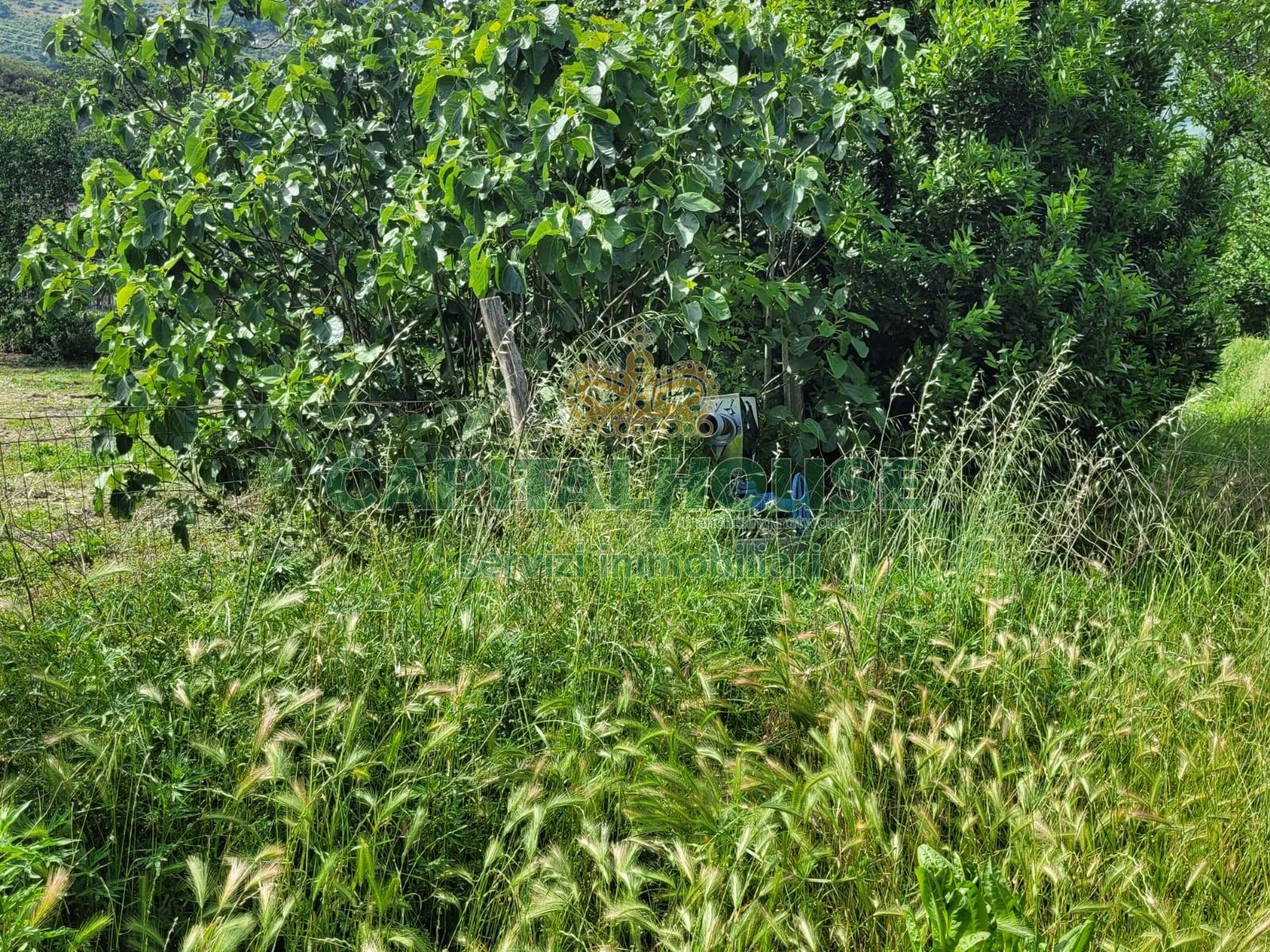 Terreno agricolo in vendita a Mercato San Severino