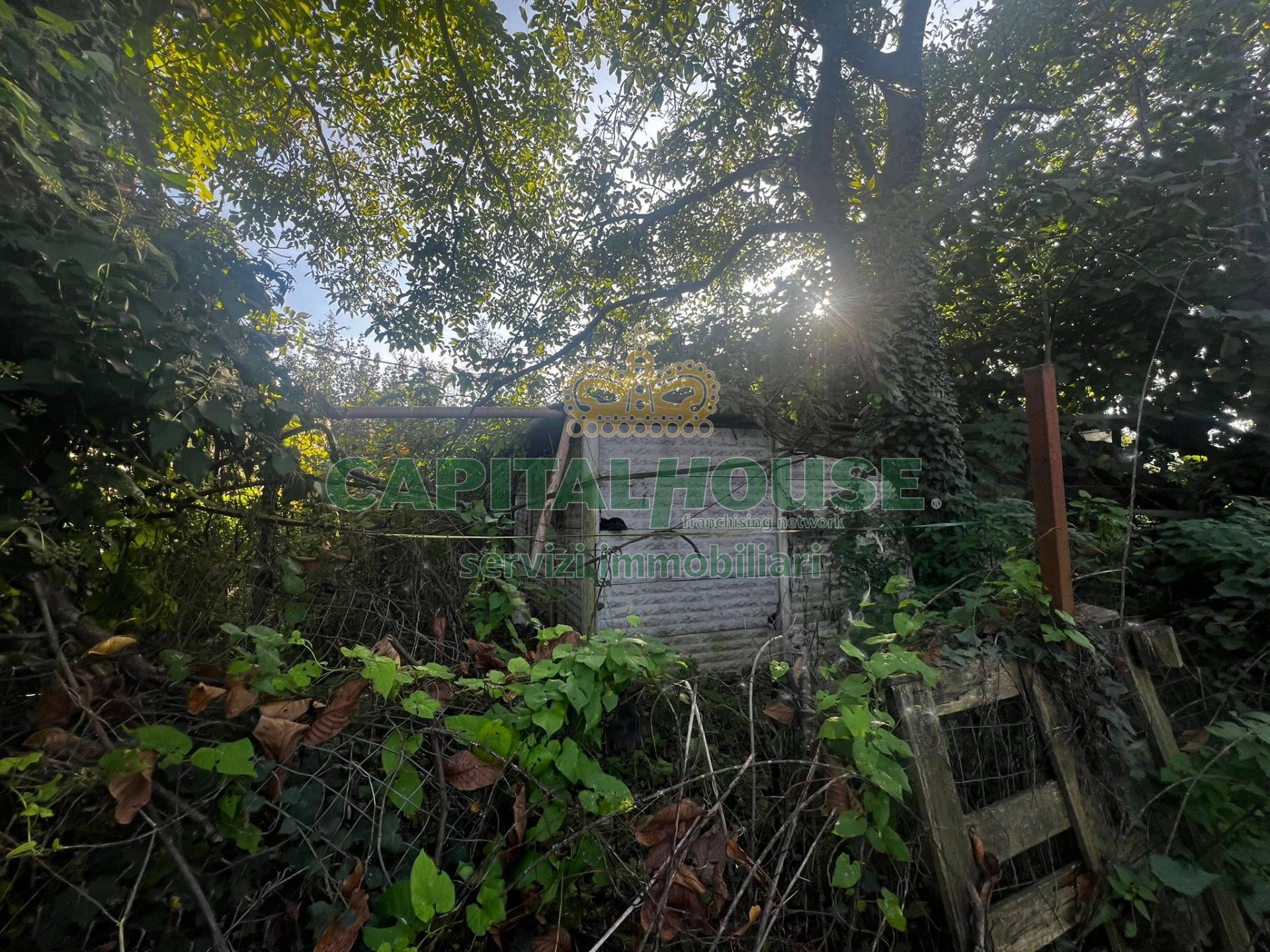 Terreno agricolo in vendita a Mercato San Severino