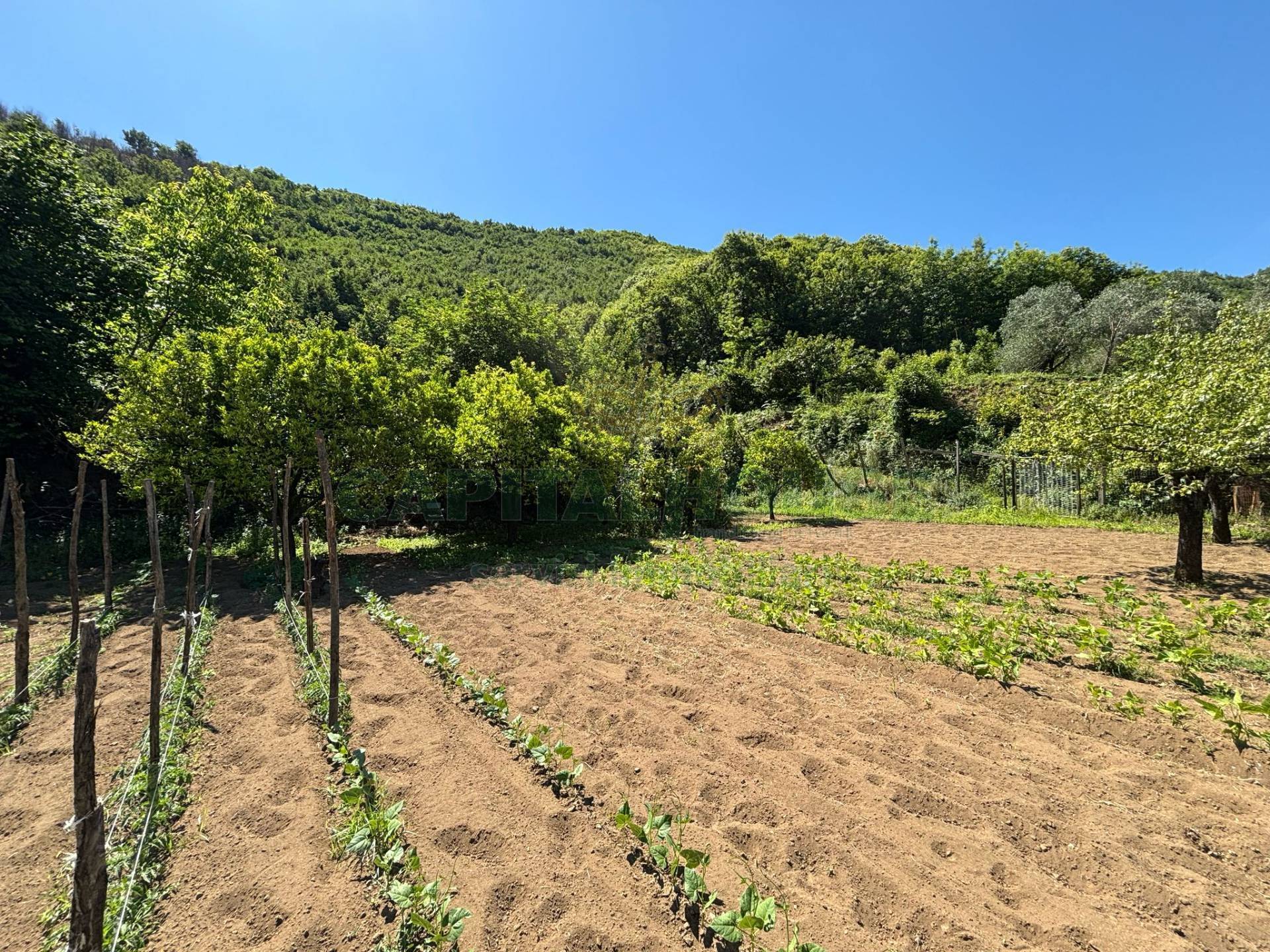 Terreno agricolo in vendita a Mercato San Severino