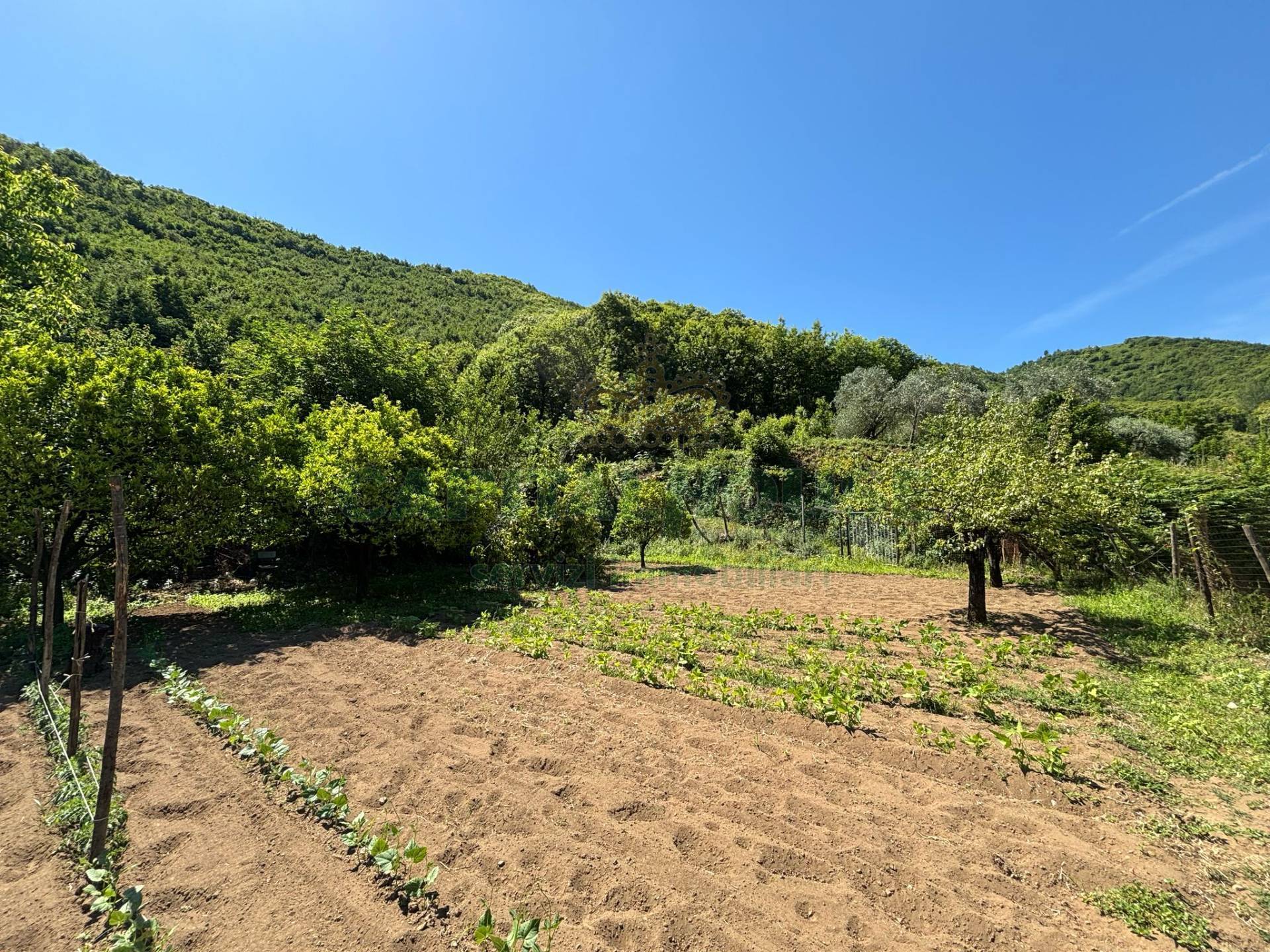 Terreno agricolo in vendita a Mercato San Severino