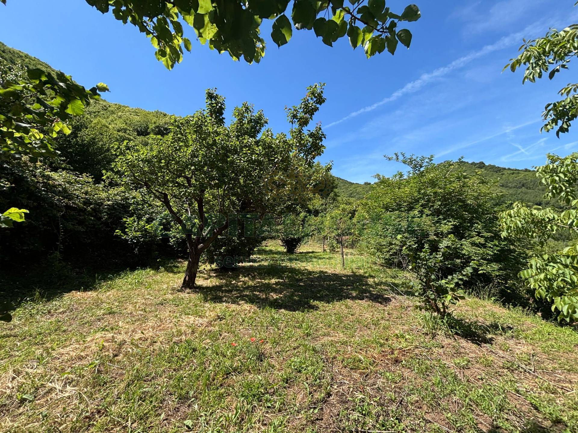 Terreno agricolo in vendita a Mercato San Severino