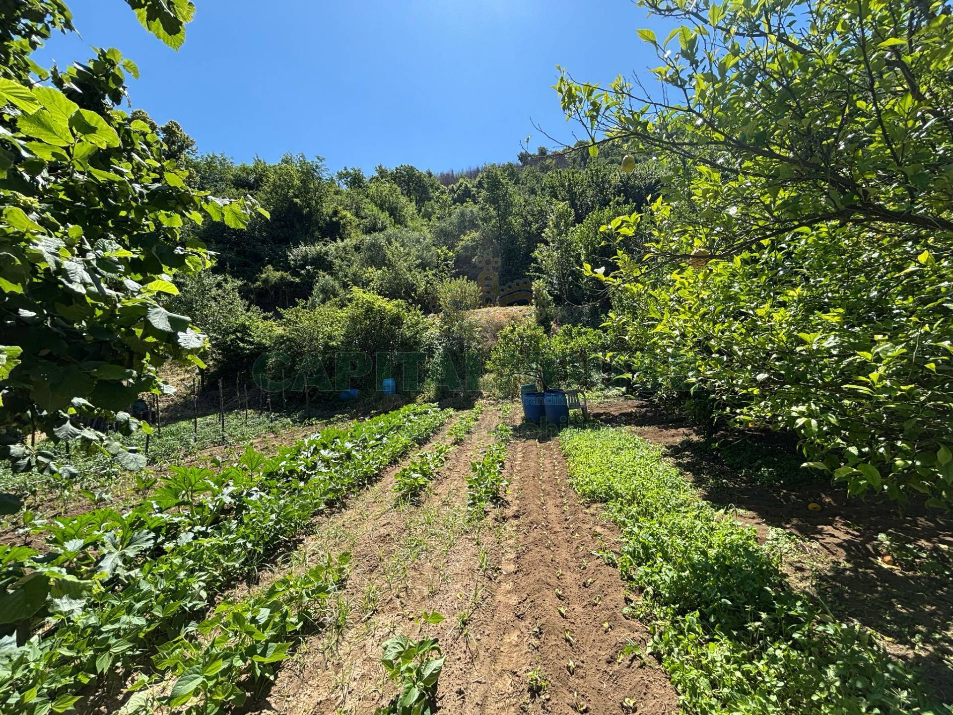 Terreno agricolo in vendita a Mercato San Severino