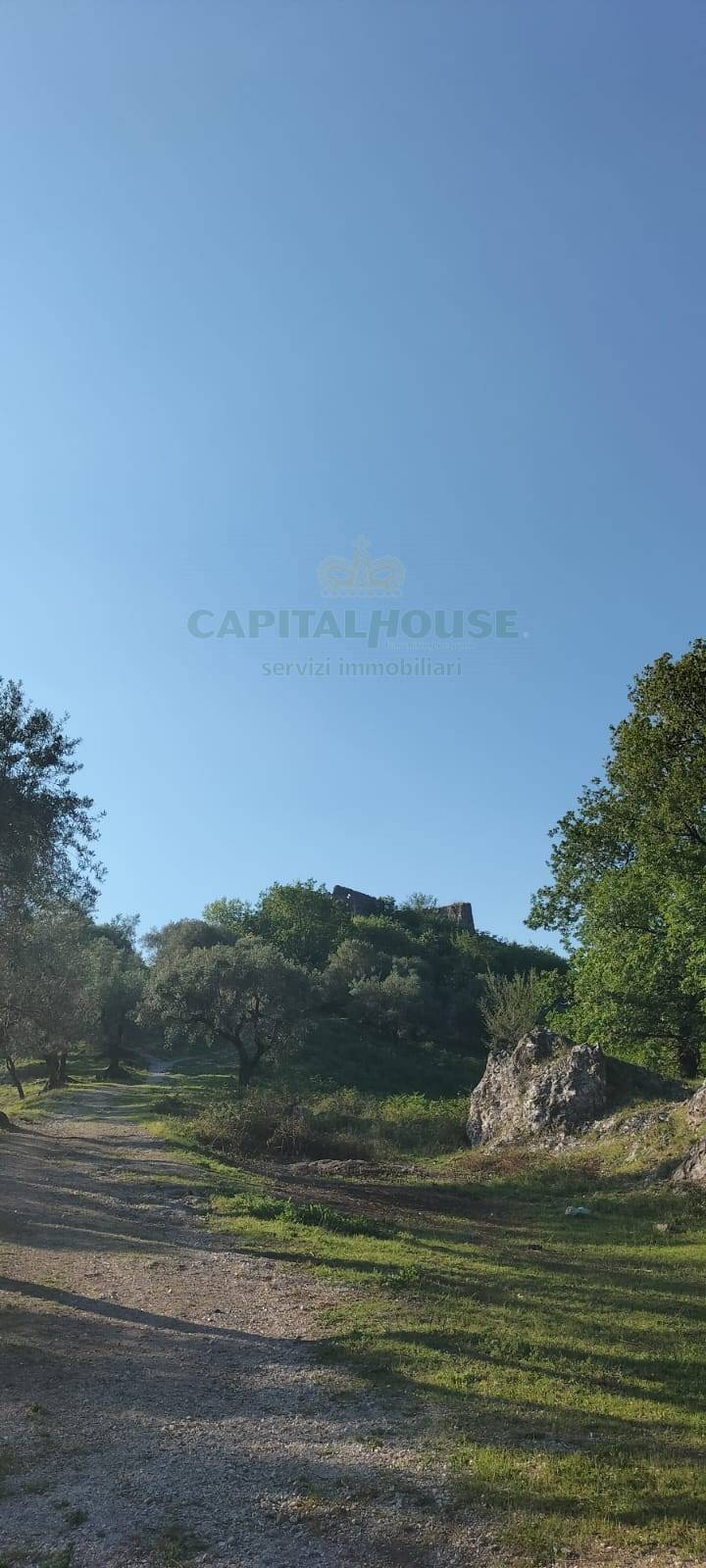 Terreno agricolo in vendita a Mercato San Severino