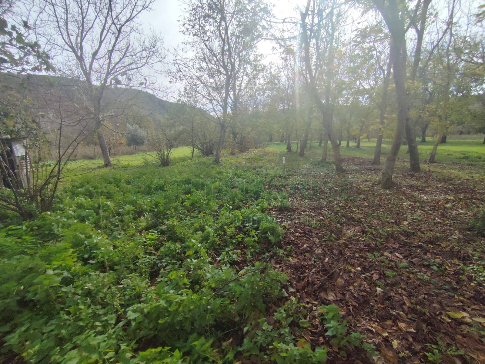 Terreno agricolo in vendita a Mercato San Severino