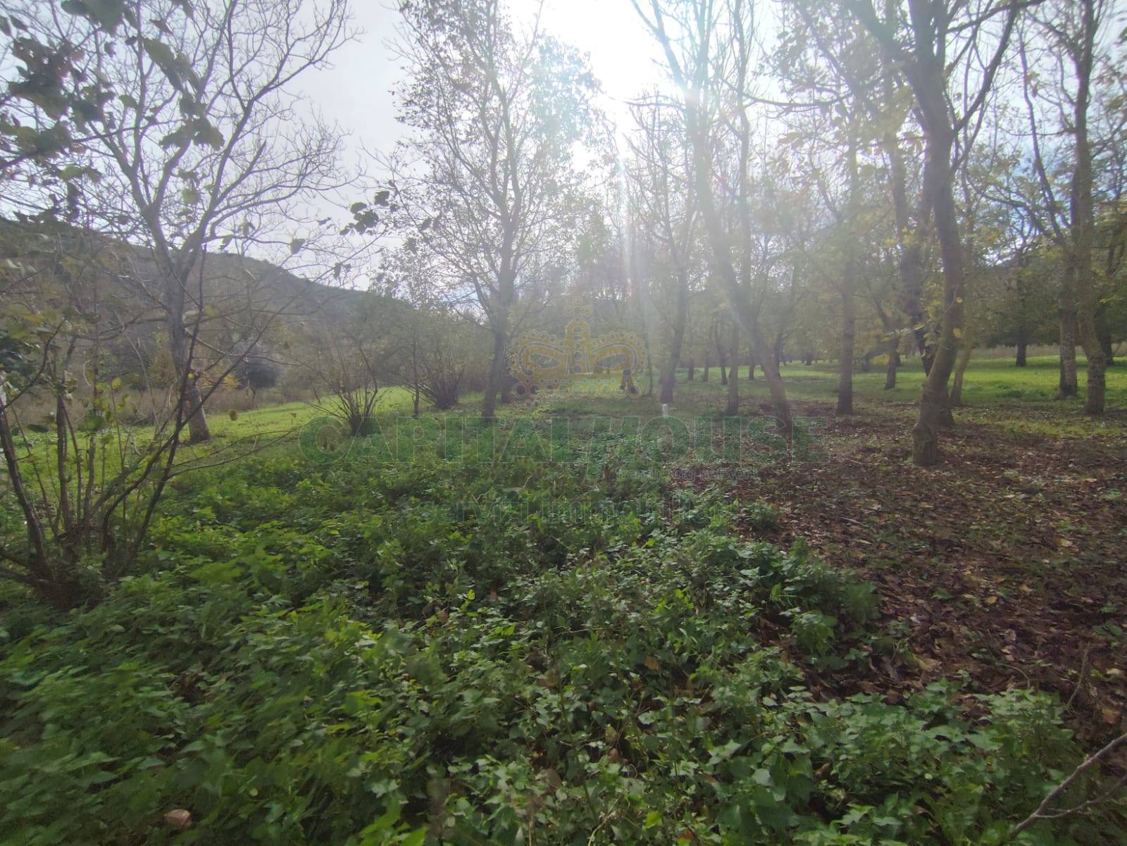 Terreno agricolo in vendita a Mercato San Severino