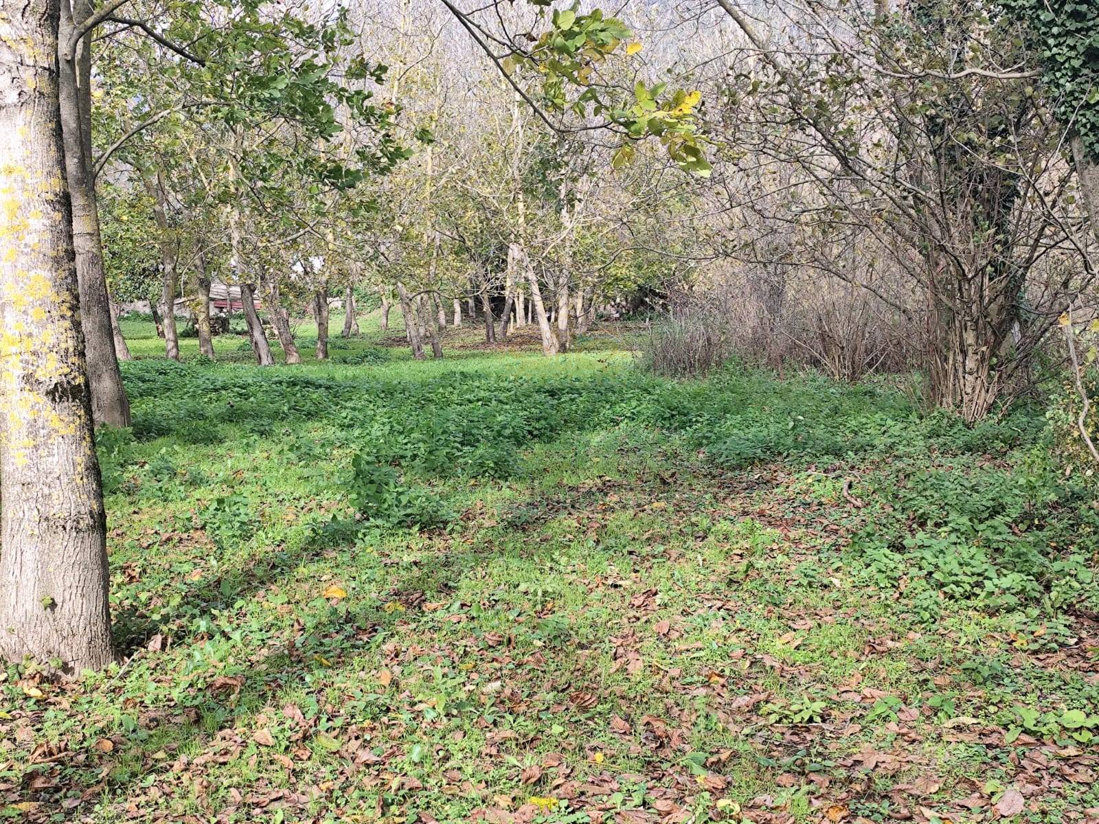 Terreno agricolo in vendita a Mercato San Severino