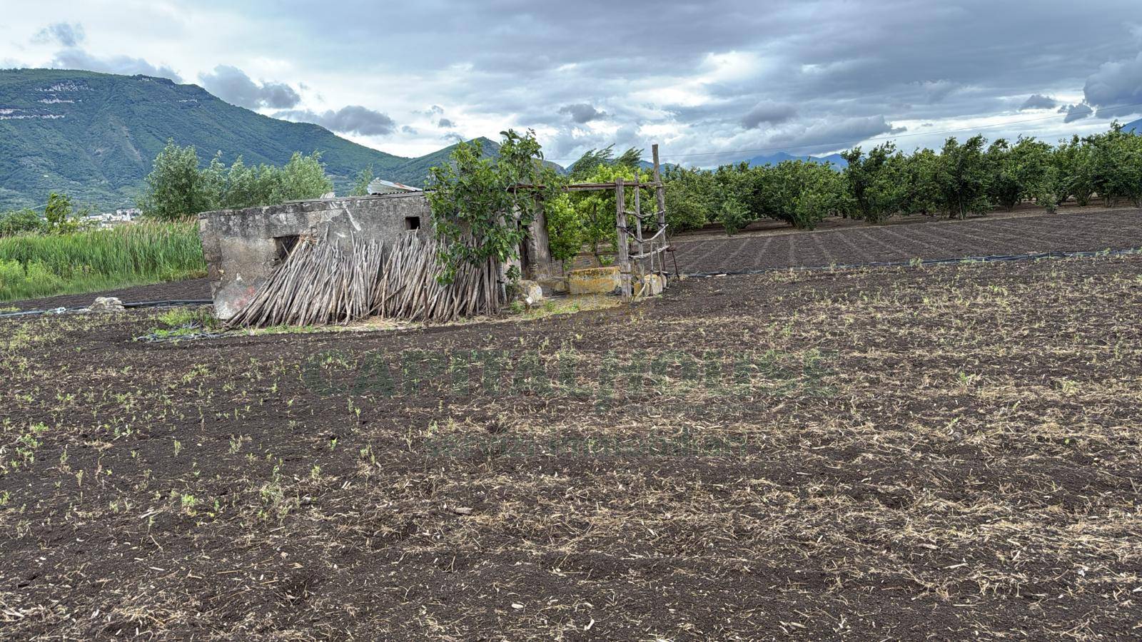 Terreno agricolo - Rudere in vendita a Sarno