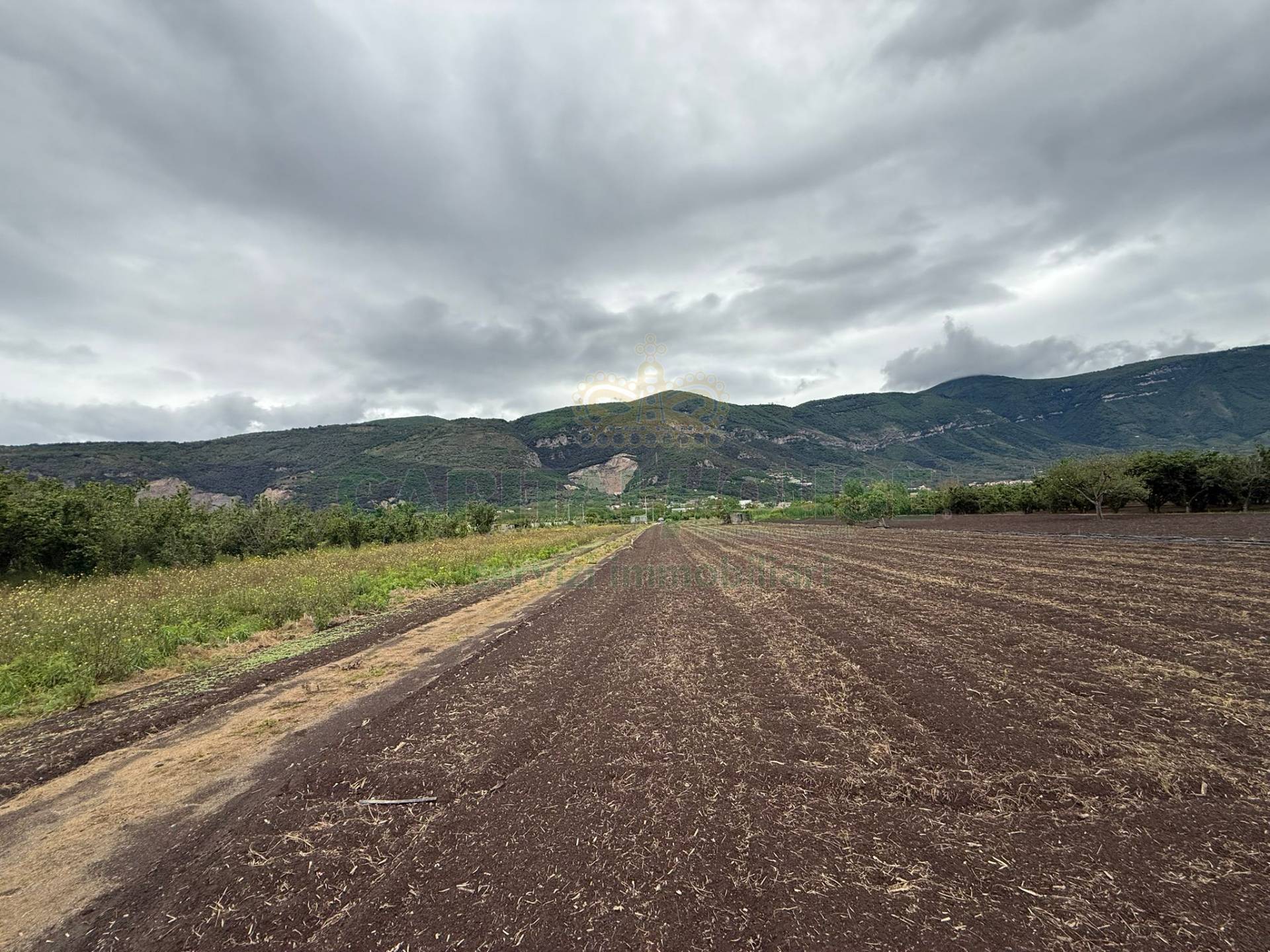 Terreno agricolo - Rudere in vendita a Sarno