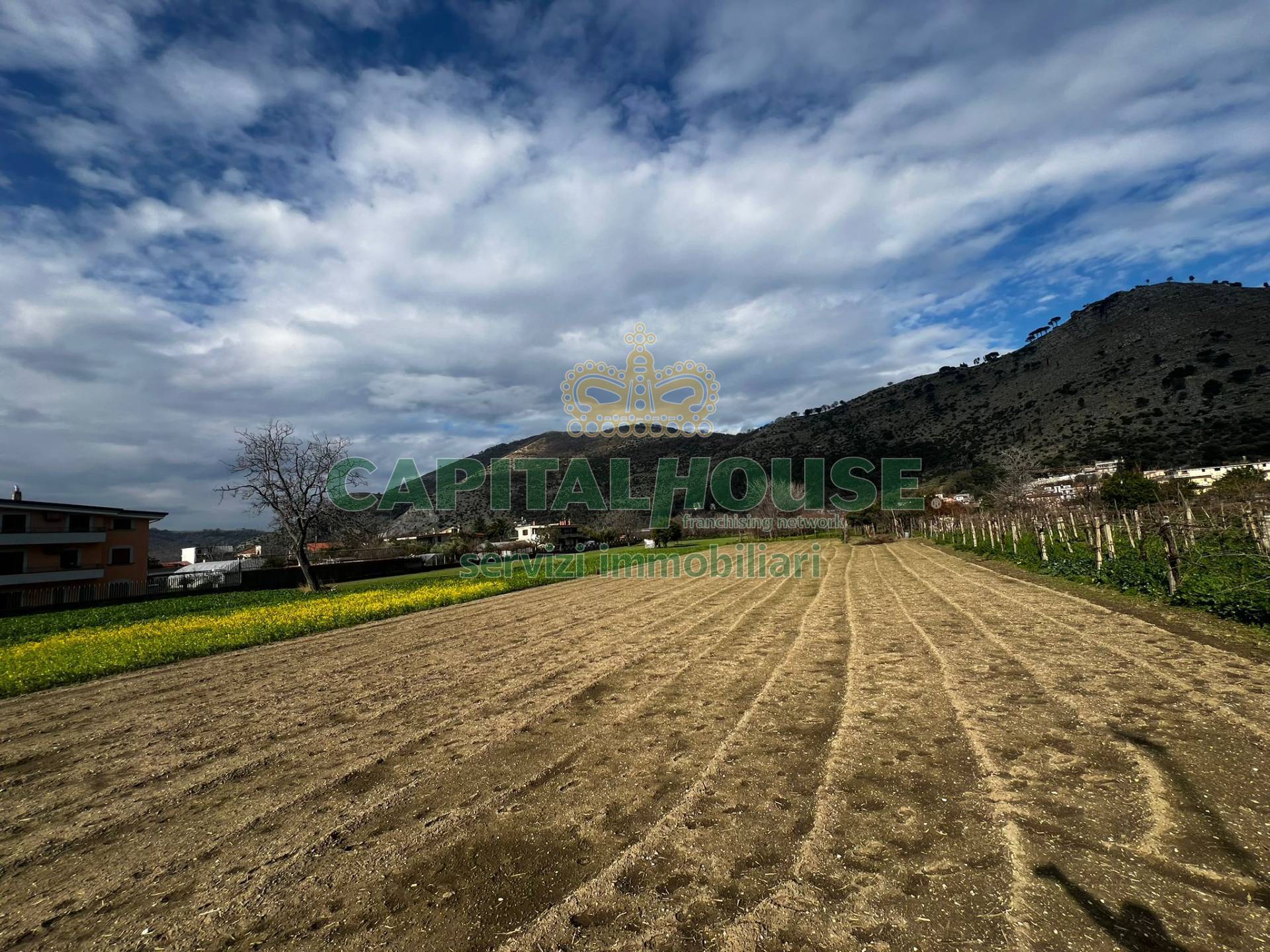 Terreno agricolo in vendita a Castel San Giorgio