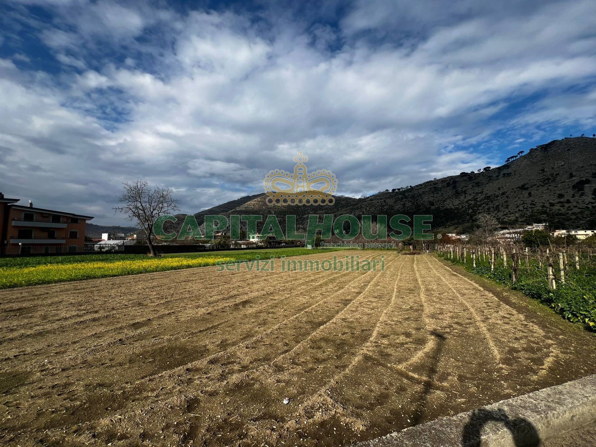 Terreno agricolo in vendita a Castel San Giorgio