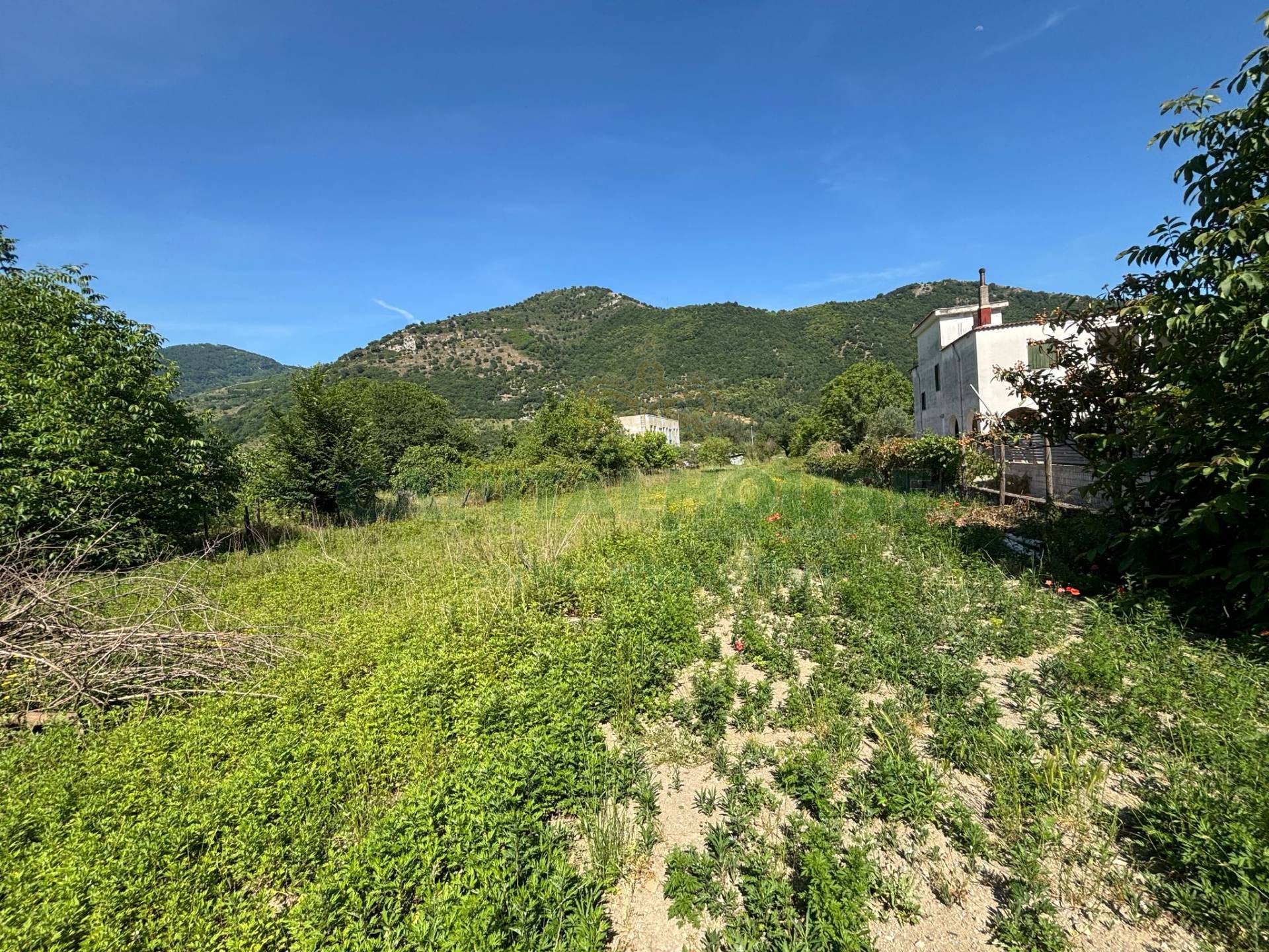 Terreno industriale in vendita a Siano