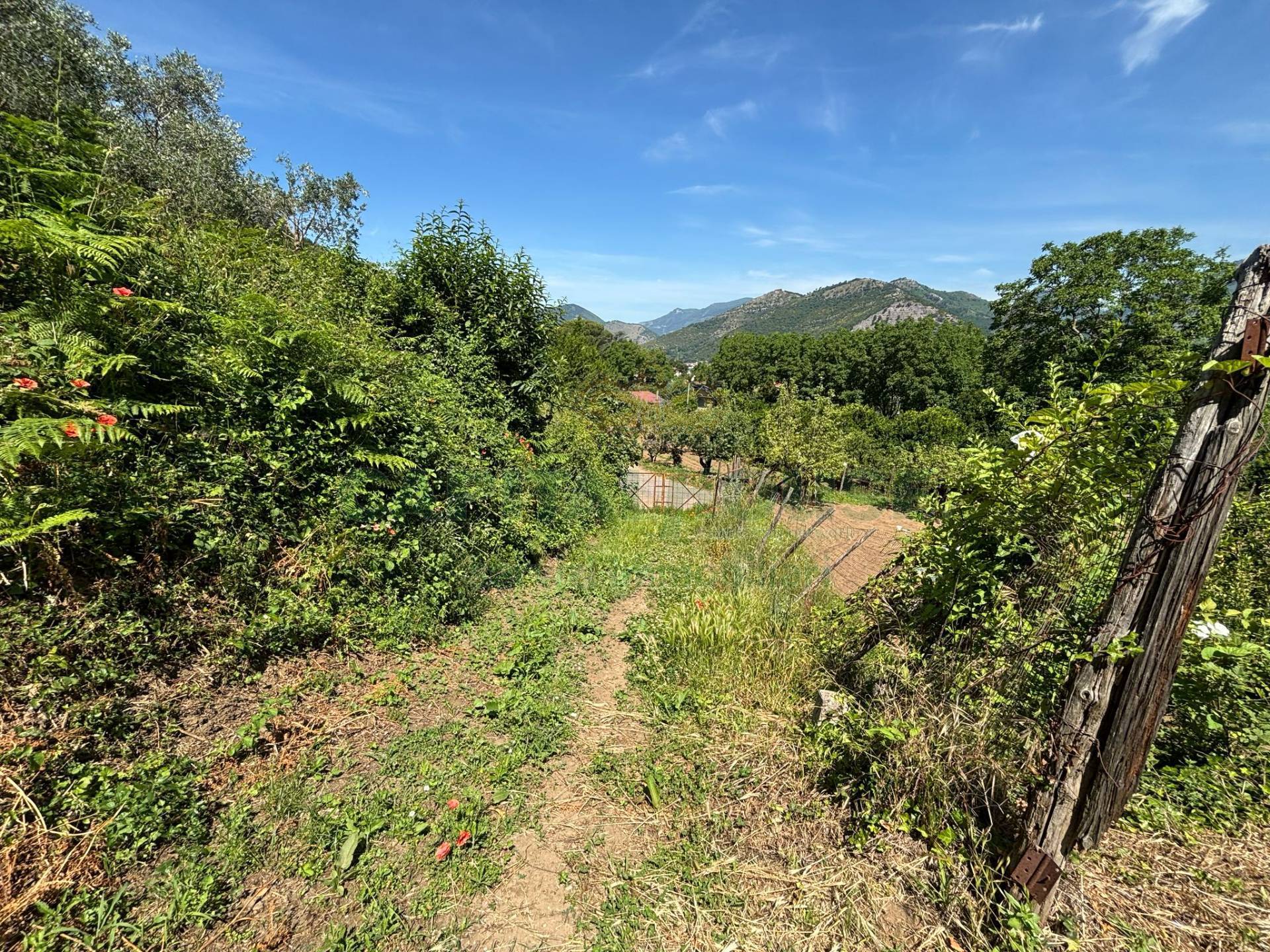 Terreno agricolo in vendita a Mercato San Severino