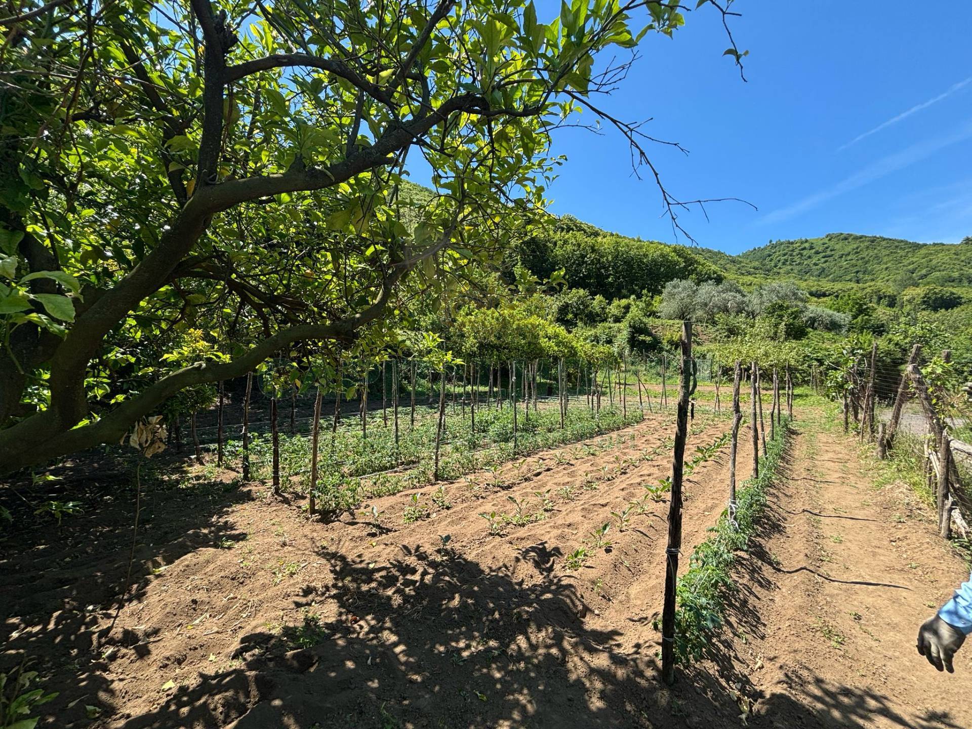 Terreno agricolo in vendita a Mercato San Severino