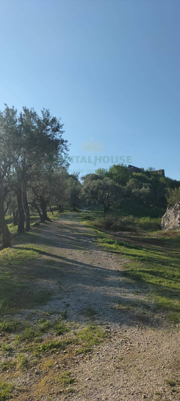 immagine annuncio 5 di 9