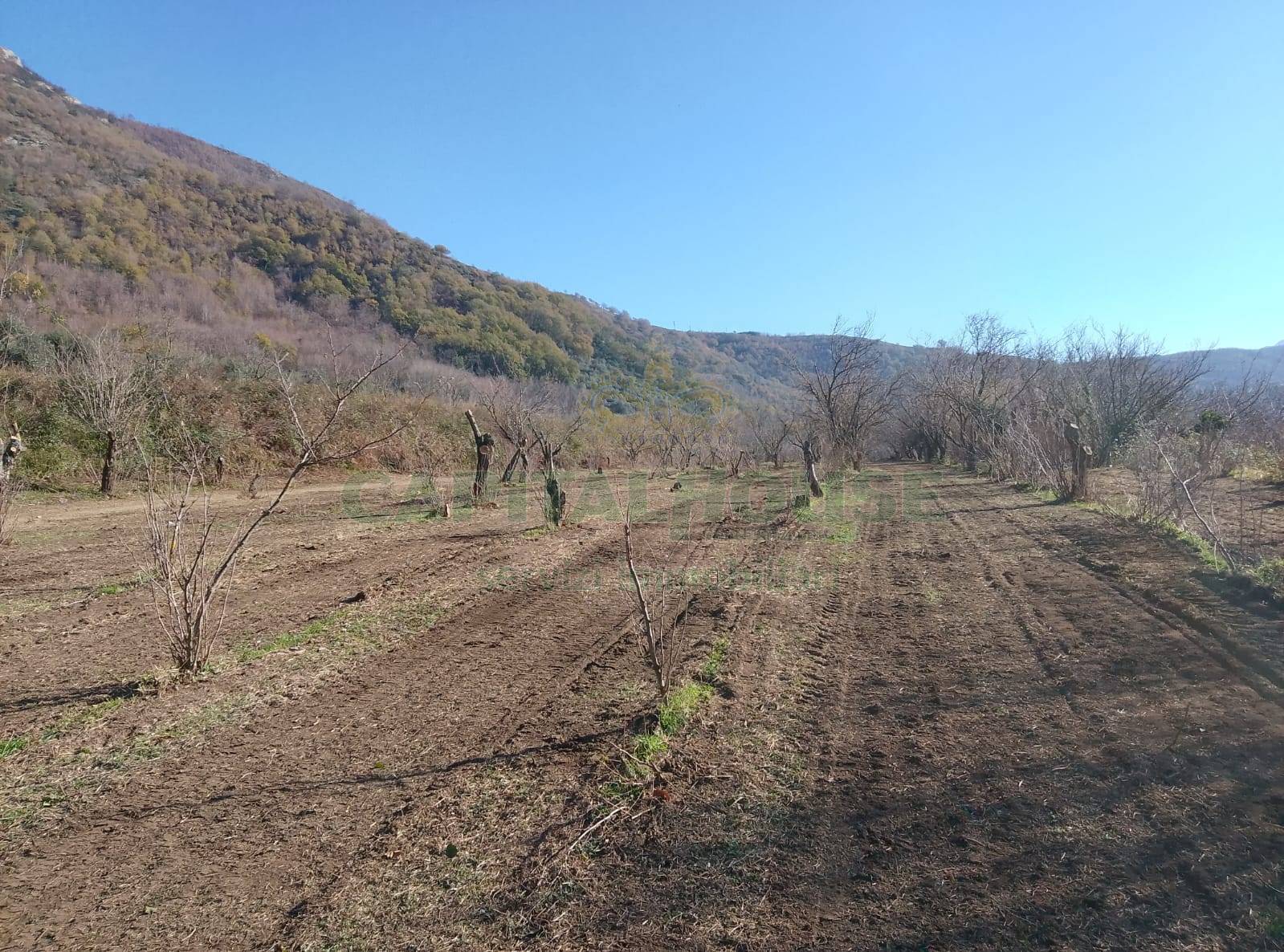 Terreno agricolo - Rudere in vendita a Mercato San Severino