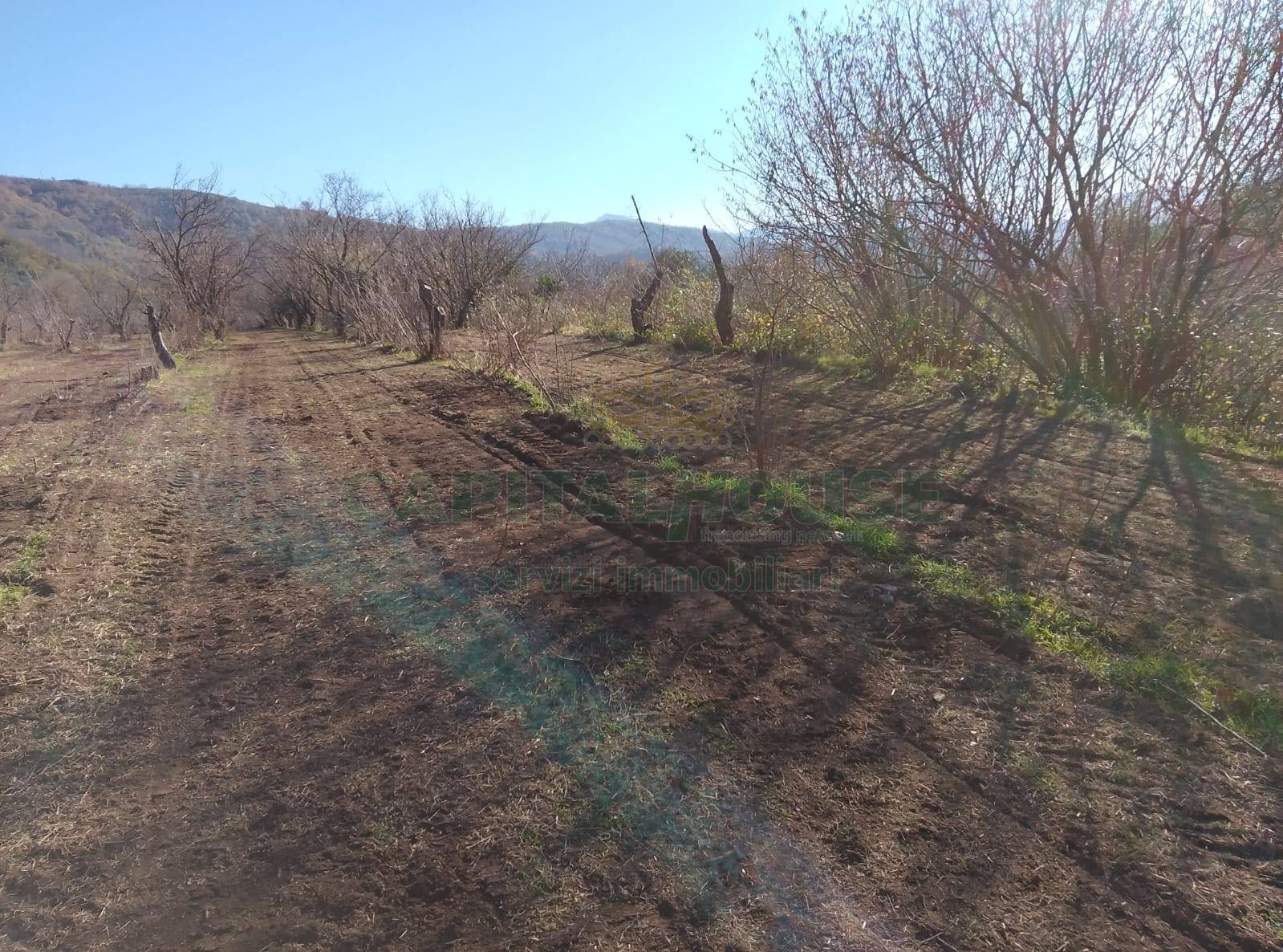 Terreno agricolo - Rudere in vendita a Mercato San Severino