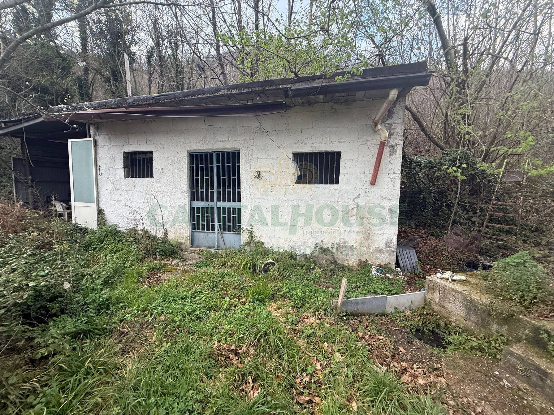 Terreno agricolo - Rudere in vendita a Mercato San Severino