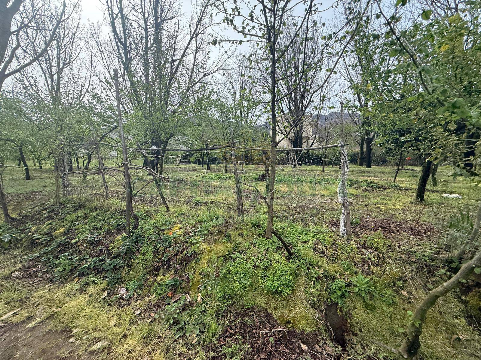 Terreno Artigianale/Commerciale in vendita a Mercato San Severino