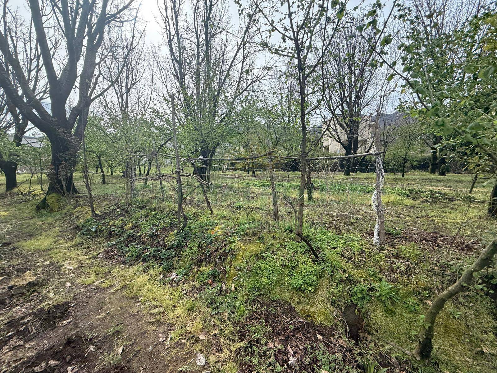 Terreno Artigianale/Commerciale in vendita a Mercato San Severino