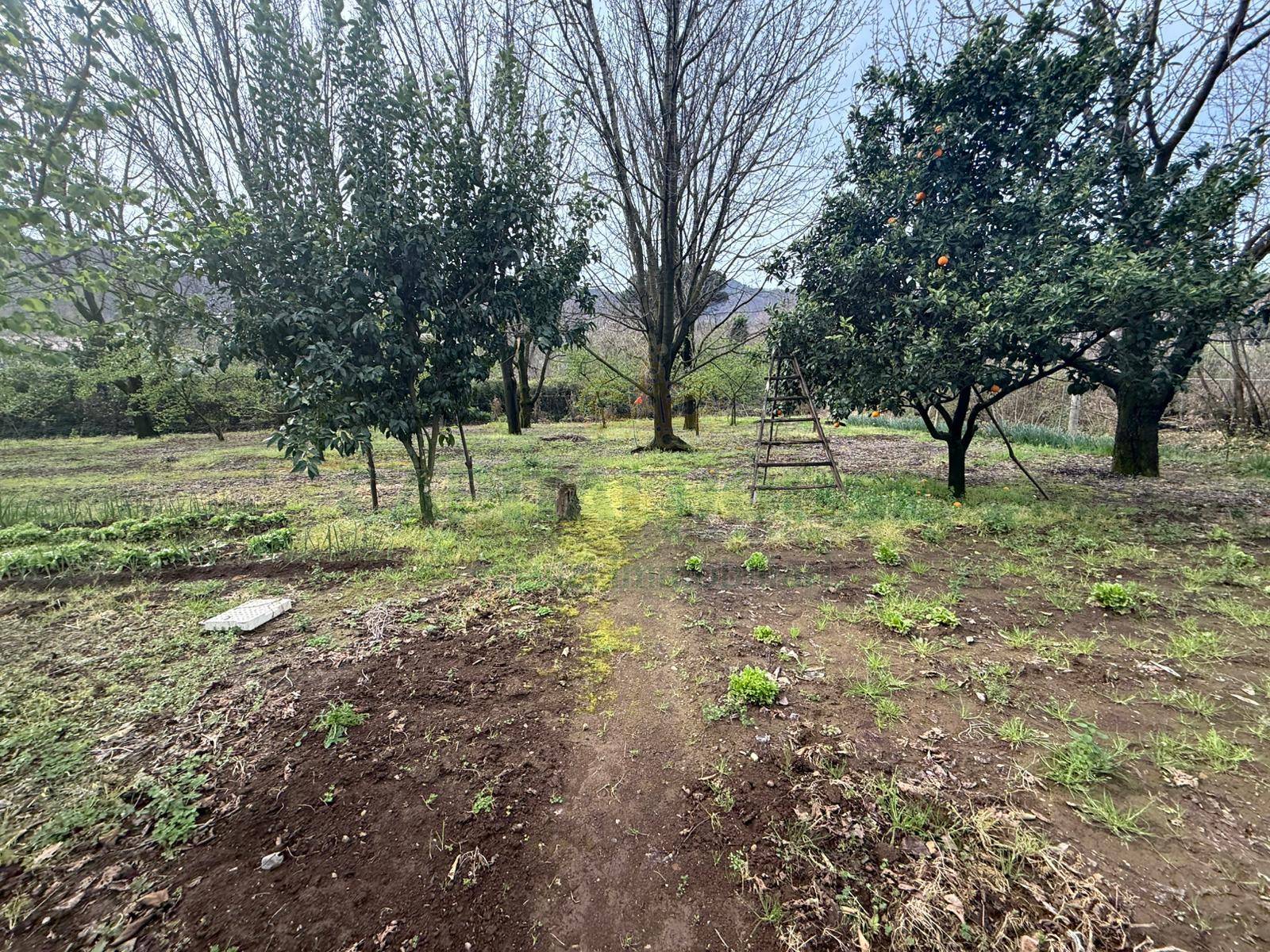 Terreno Artigianale/Commerciale in vendita a Mercato San Severino