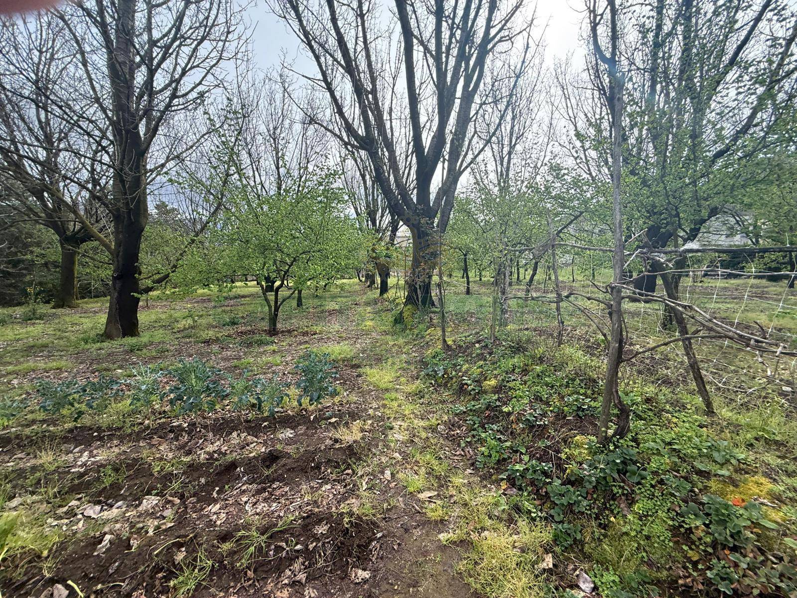 Terreno Artigianale/Commerciale in vendita a Mercato San Severino