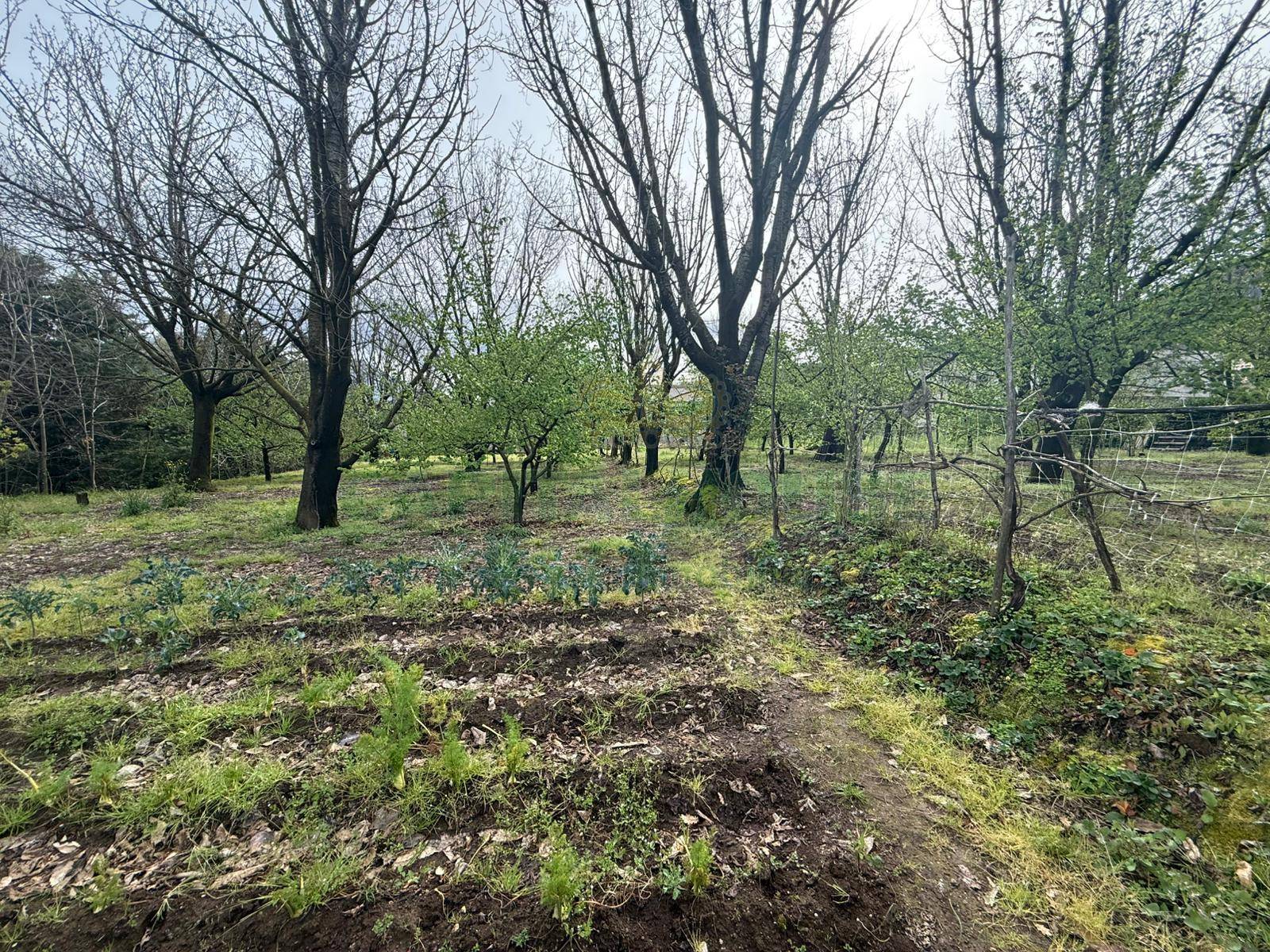 Terreno Artigianale/Commerciale in vendita a Mercato San Severino
