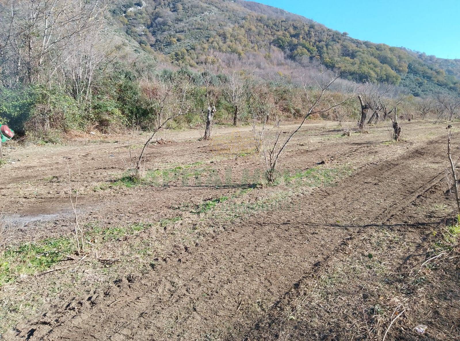 Terreno agricolo - Rudere in vendita a Mercato San Severino