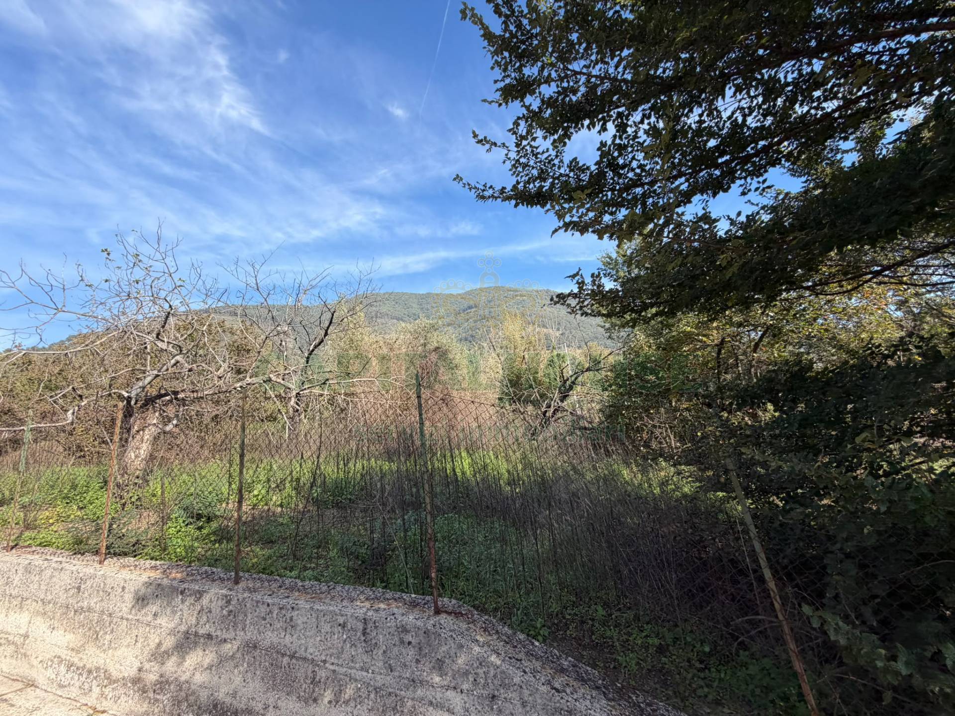 Terreno agricolo in vendita a Siano