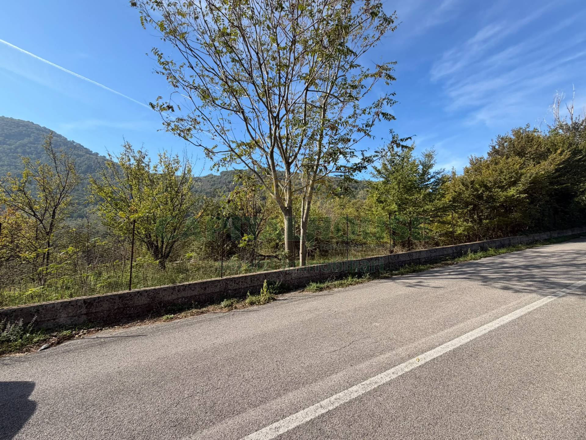 Terreno agricolo in vendita a Siano