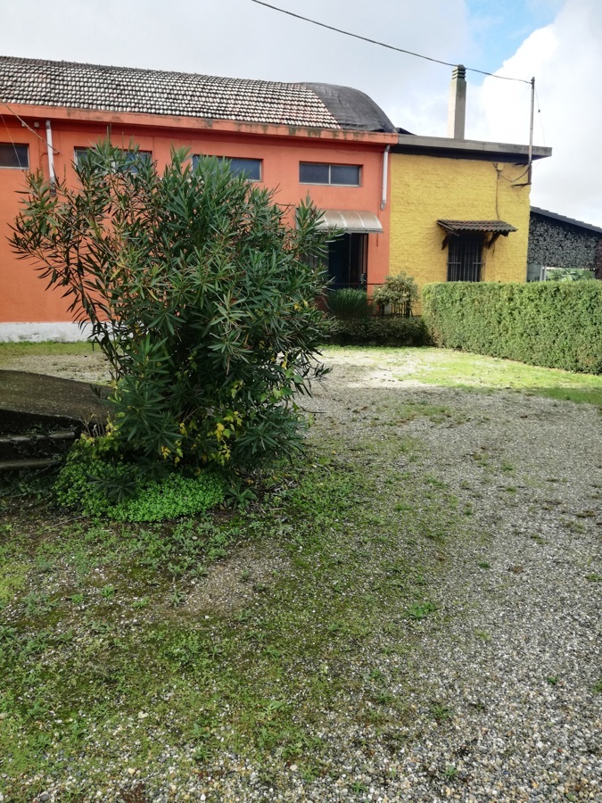 Capannone in vendita a Pezzana