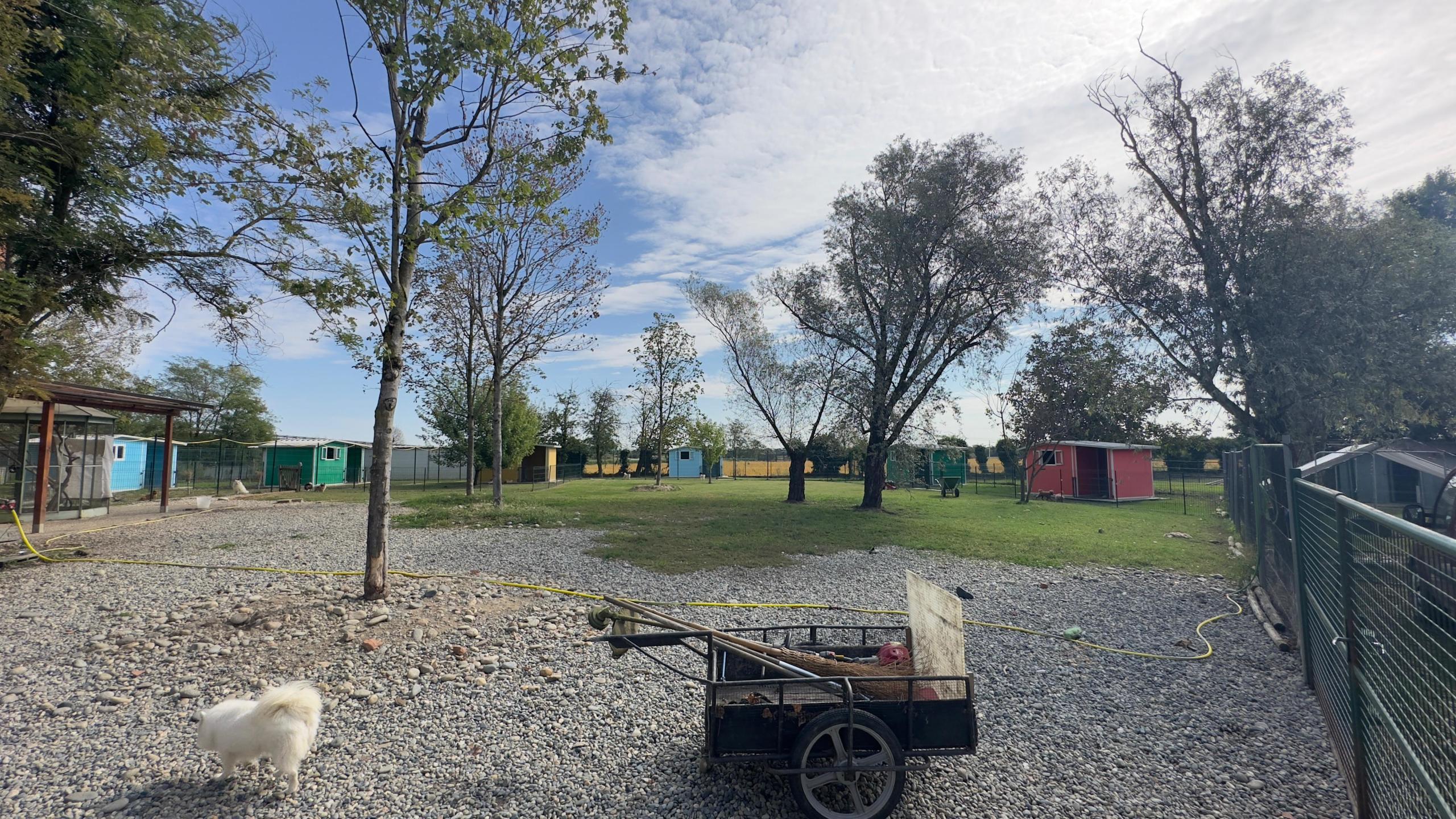 Casa indipendente in vendita in via umberto 1, Greggio