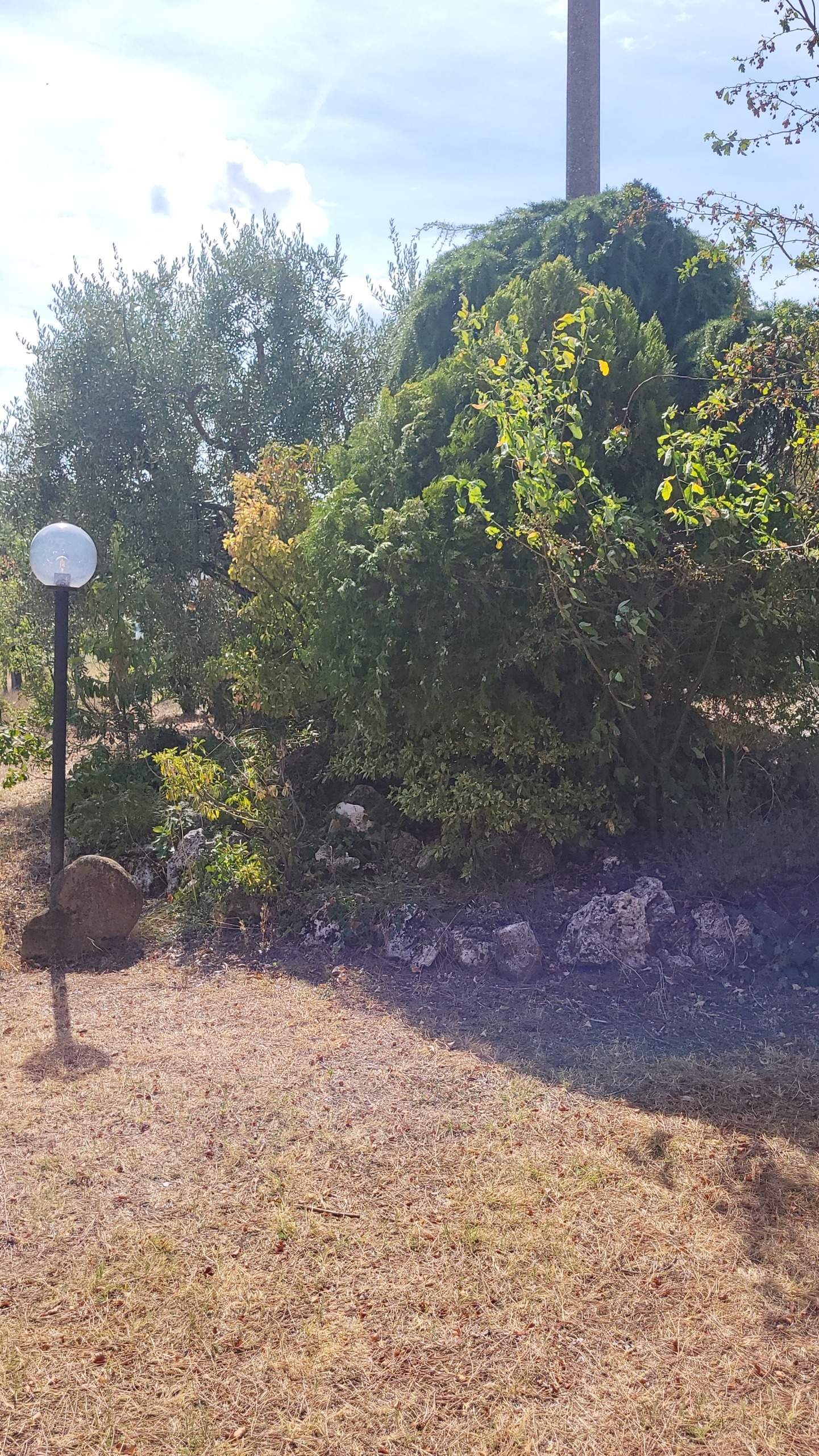 Casa indipendente con giardino, Arcevia avacelli