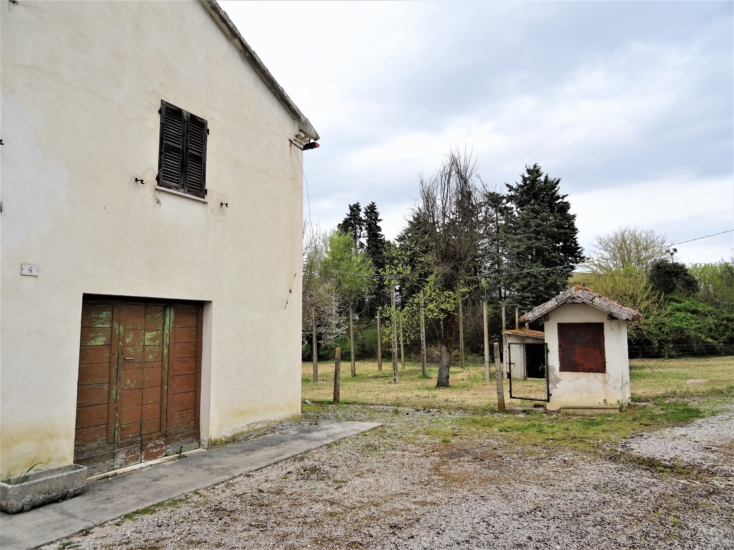 immagine annuncio 2 di 6