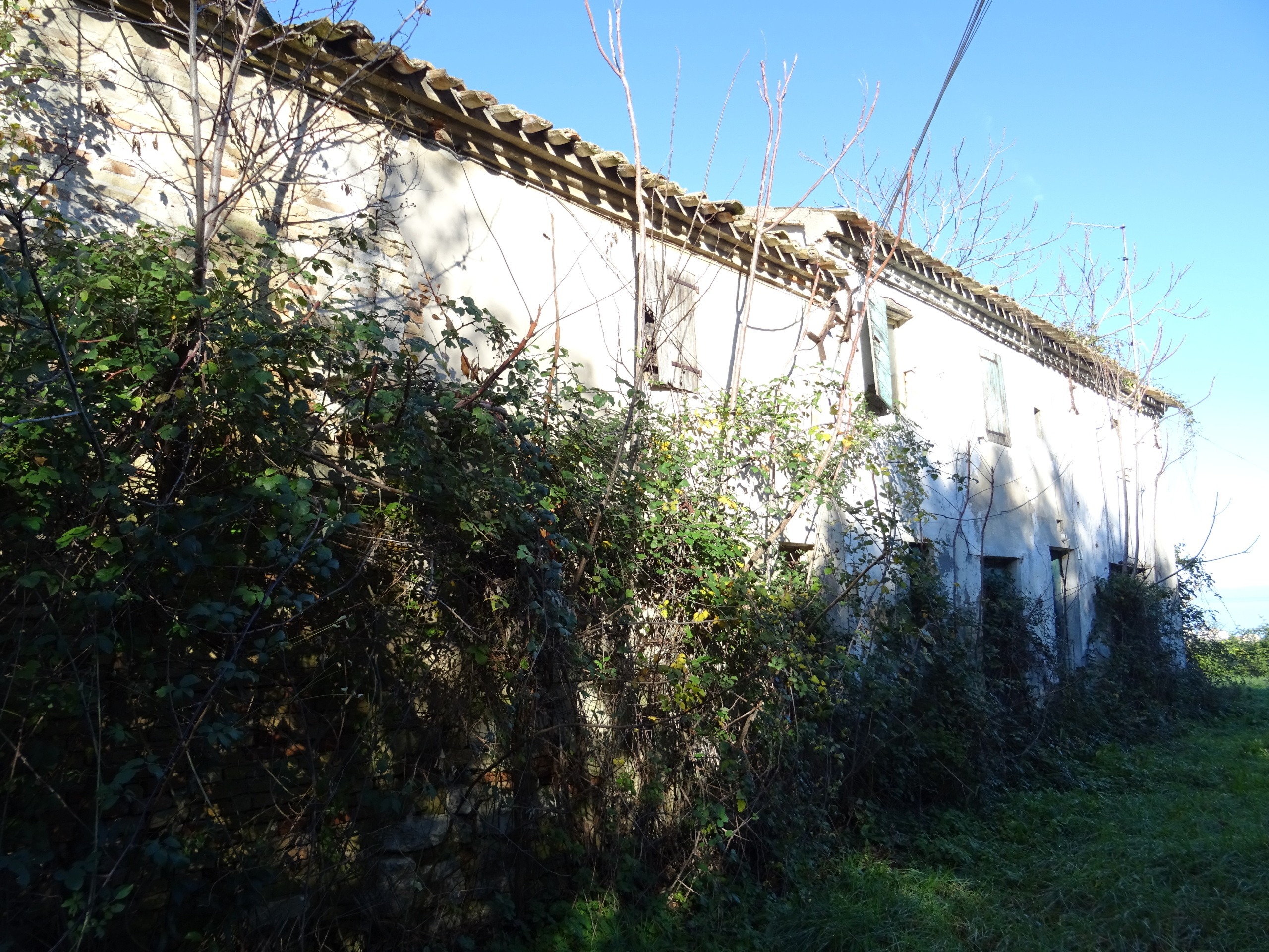Rustico con giardino, Senigallia gabriella