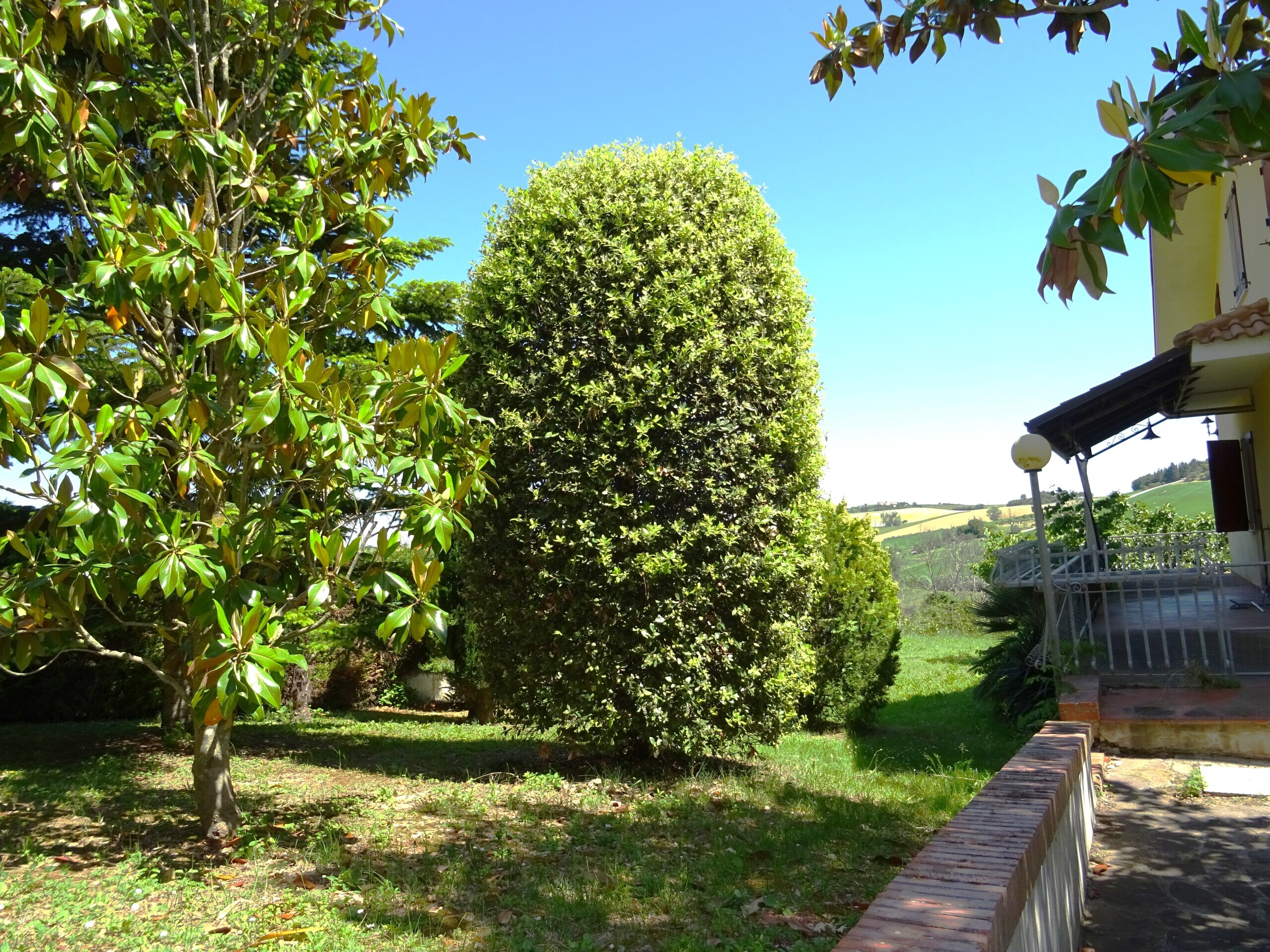 Casa indipendente con giardino a Monte San Vito