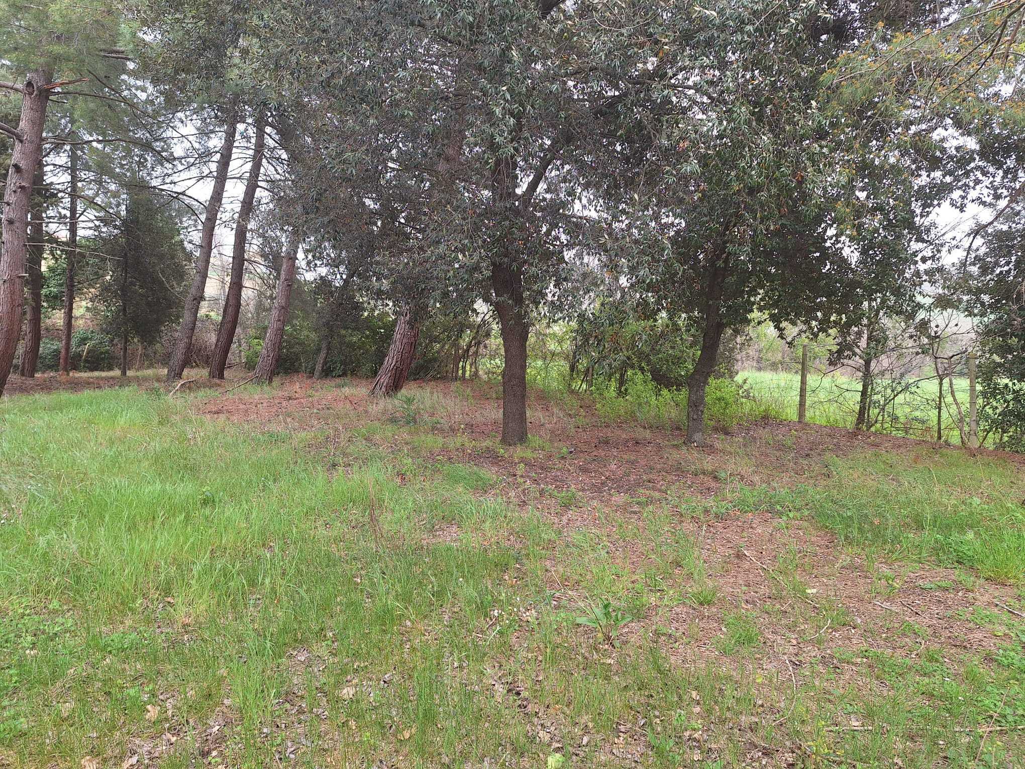 Casa indipendente in vendita a Corinaldo
