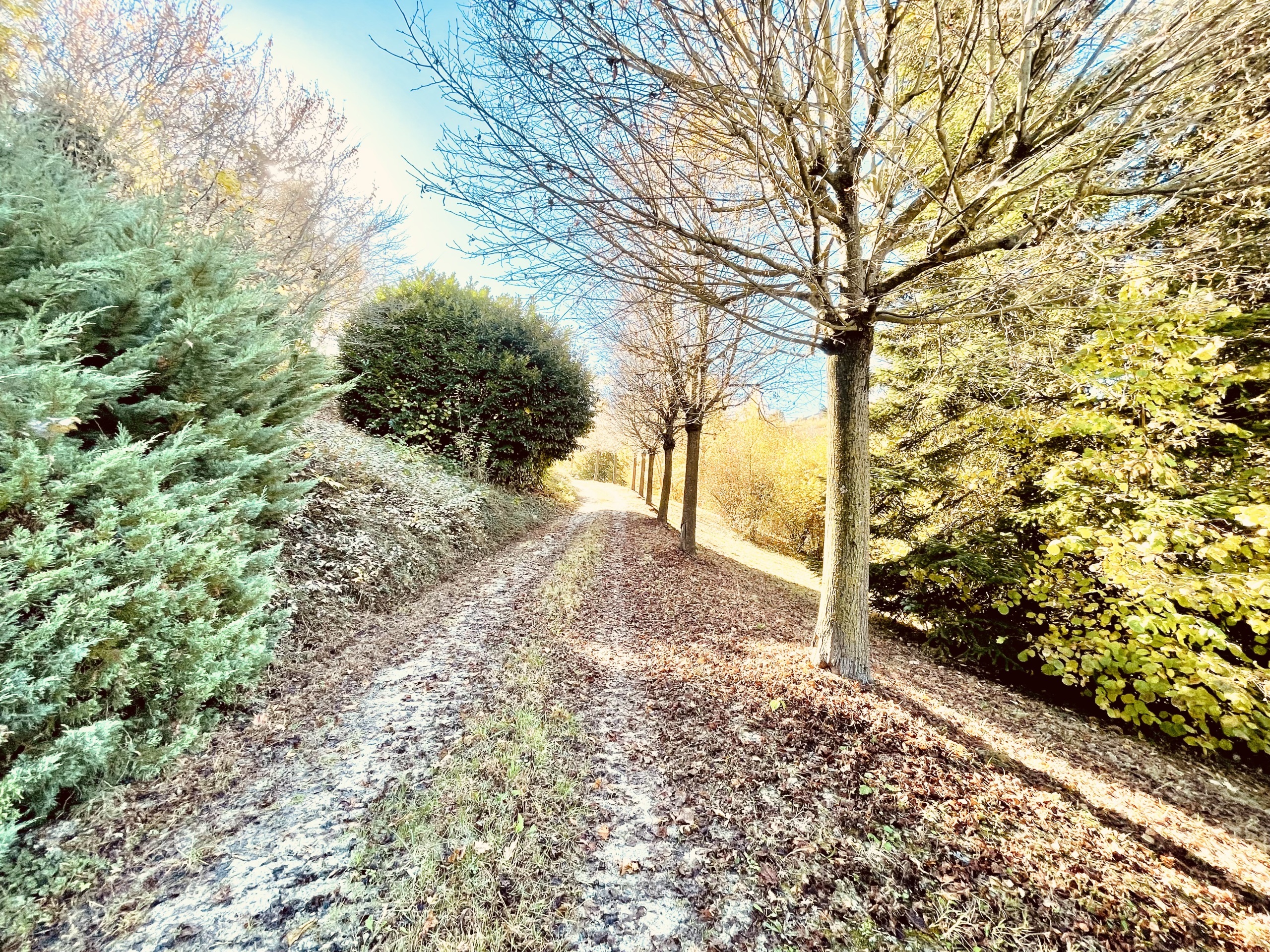 Casa indipendente con giardino in localit� panate 18, Farigliano