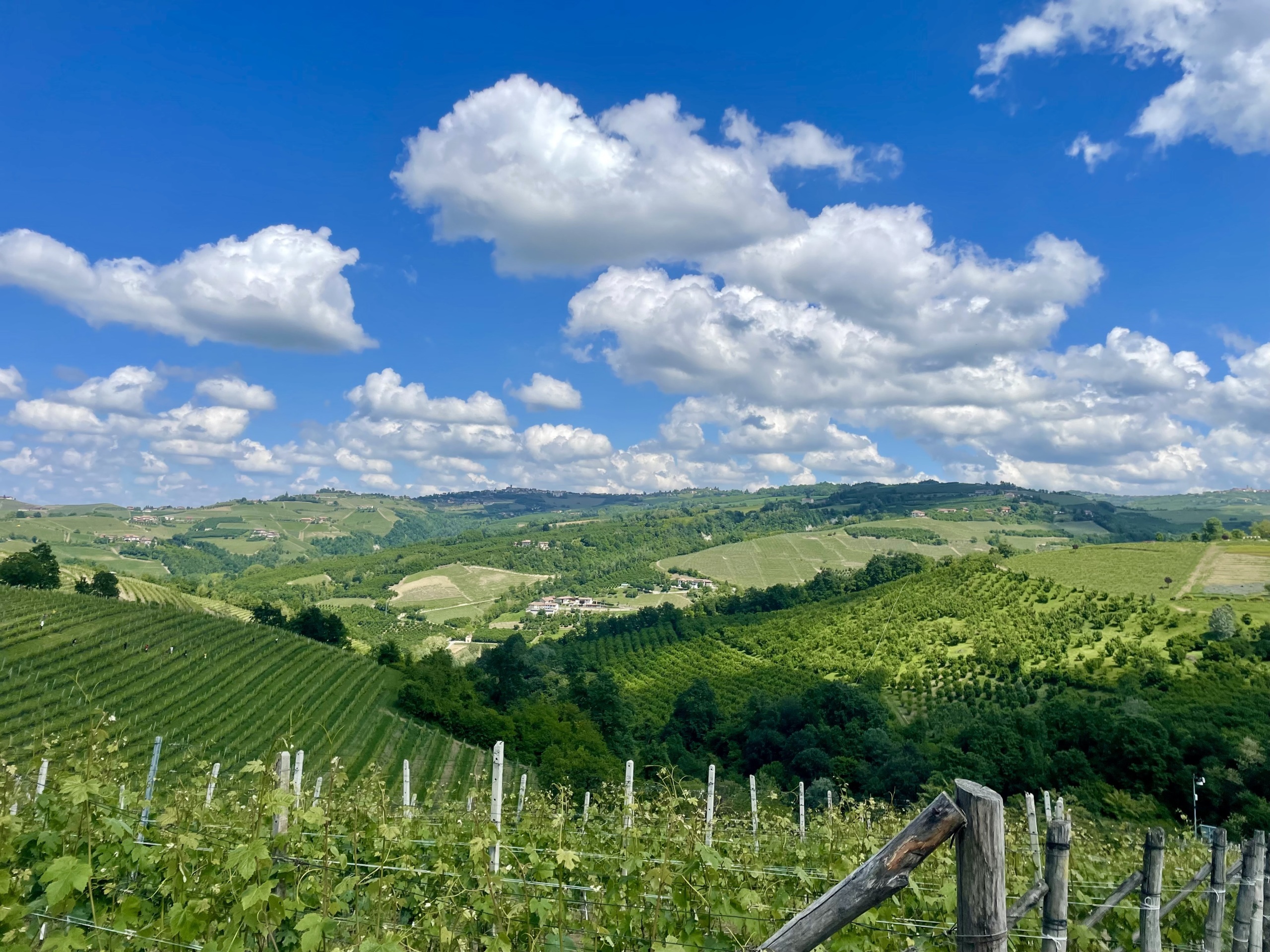 Terreno Agricolo in vendita in localit� bussia san pietro 6, Serralunga d'Alba