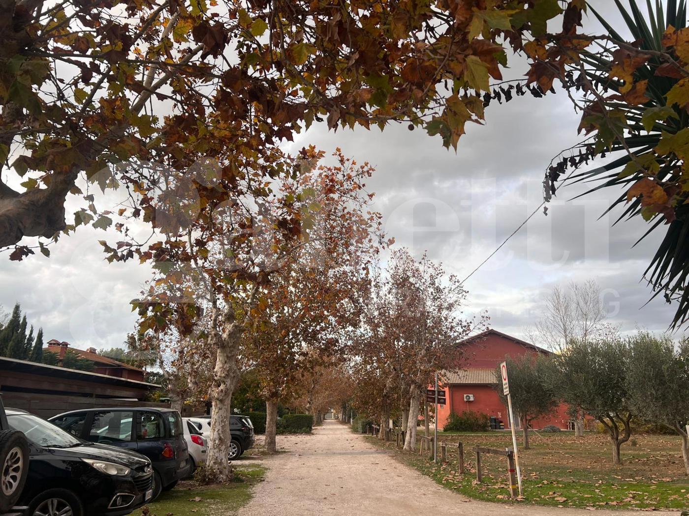 Trilocale ristrutturato a Fiumicino