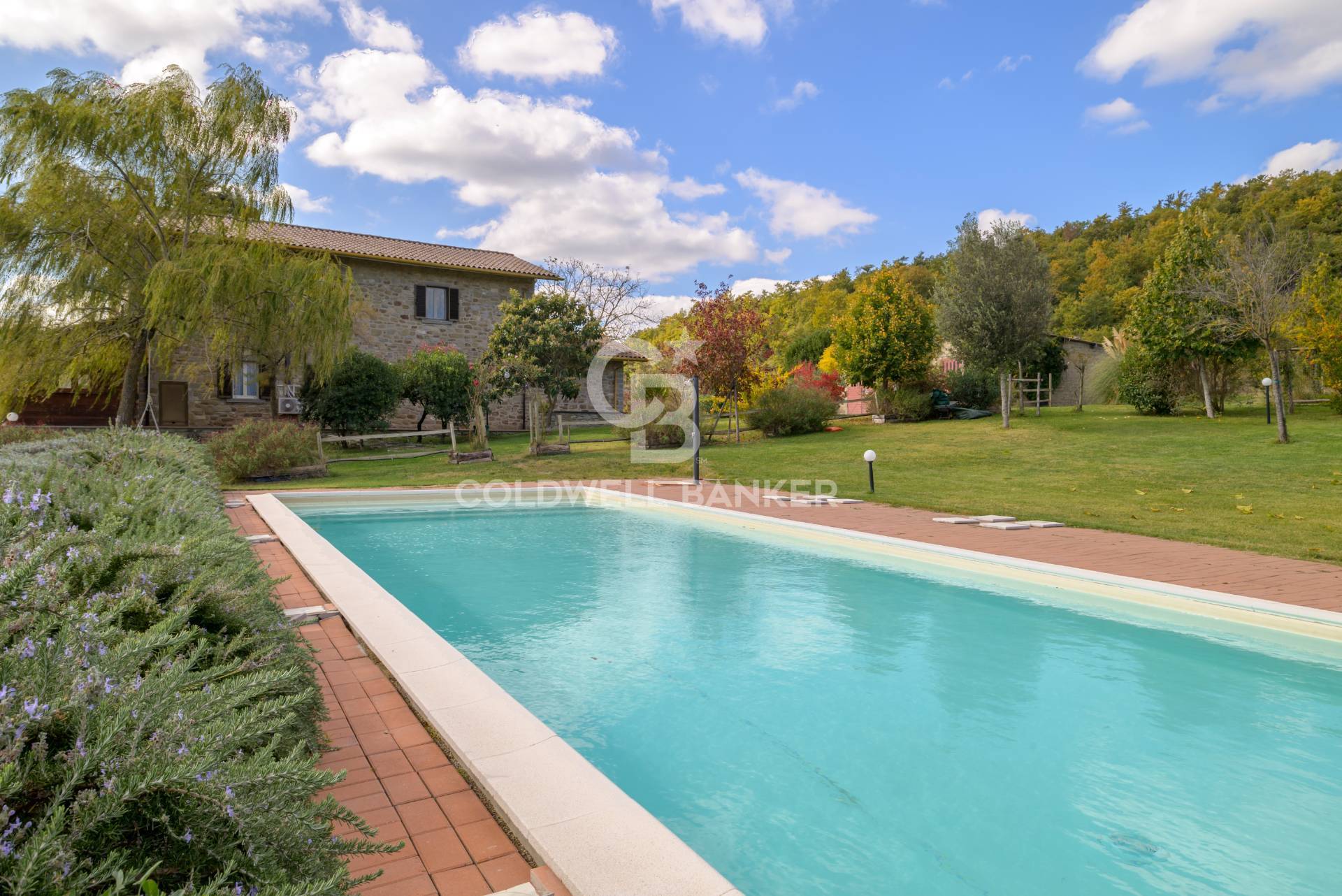 Rustico/Casale/Corte in vendita a Cortona, Pierle