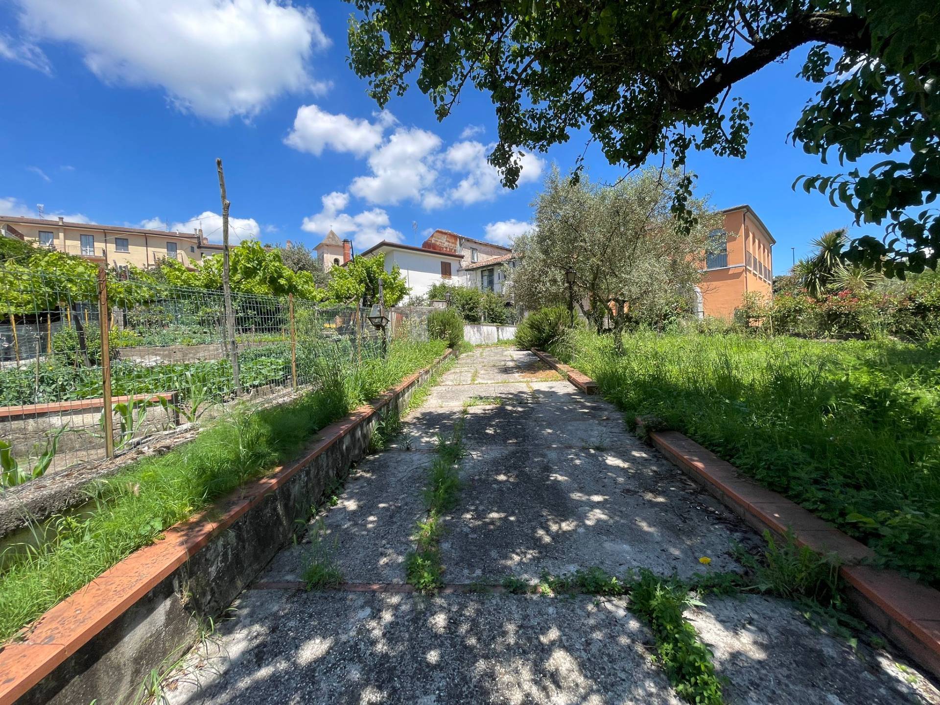 immagine annuncio 3 di 6
