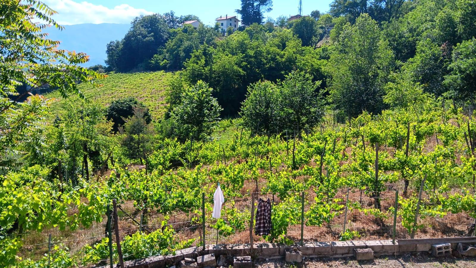 Casa singola in vendita a Tufo