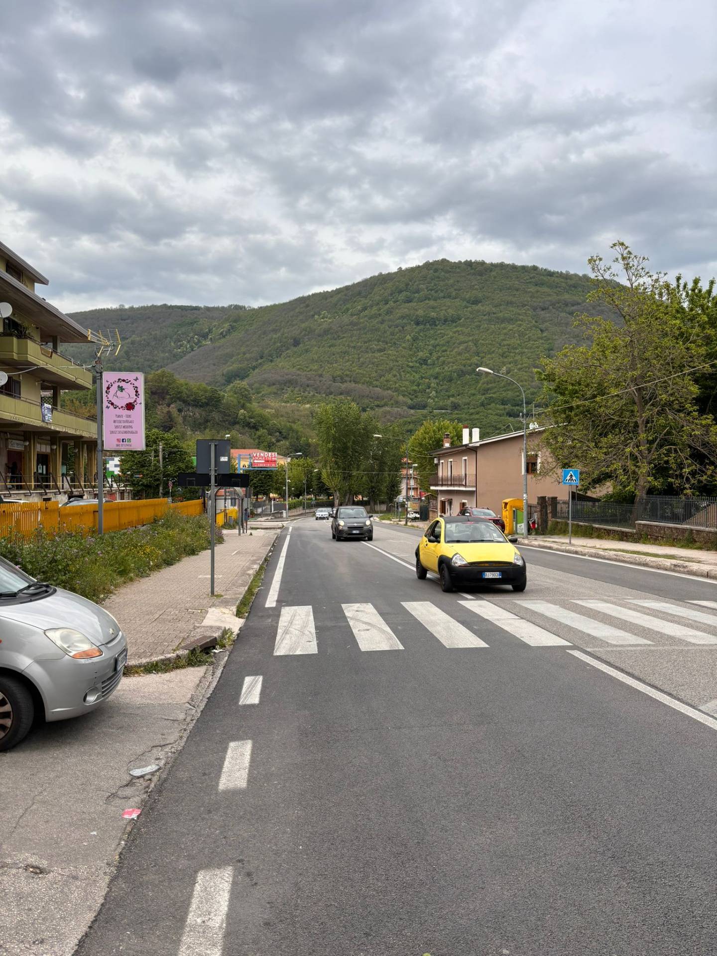 immagine annuncio 2 di 4